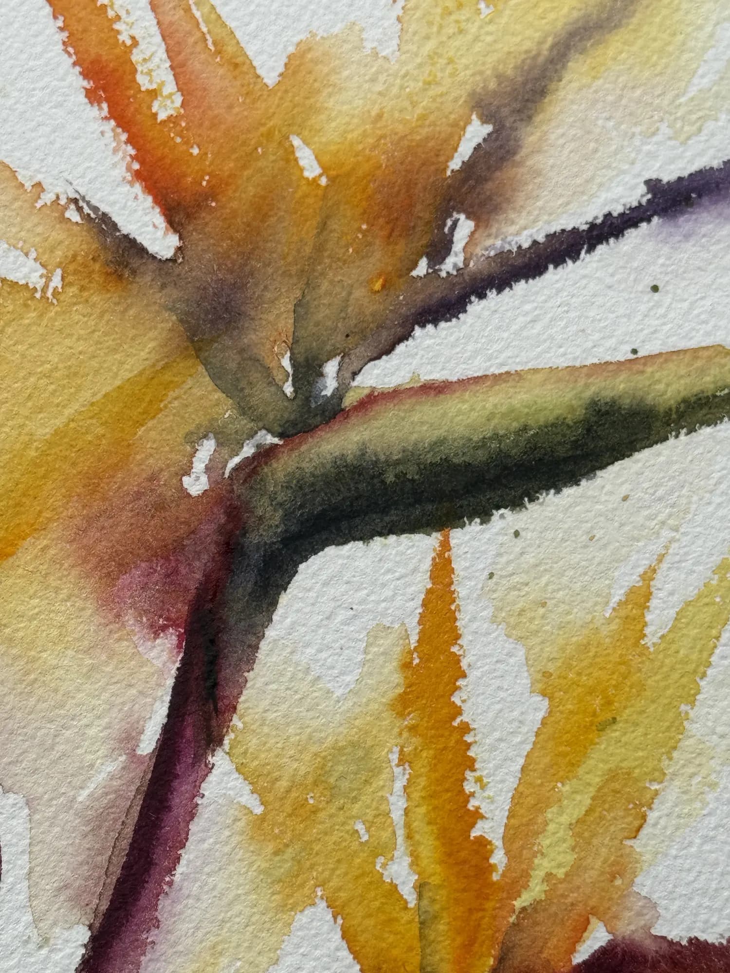 Detail 1 of Bird of Paradise