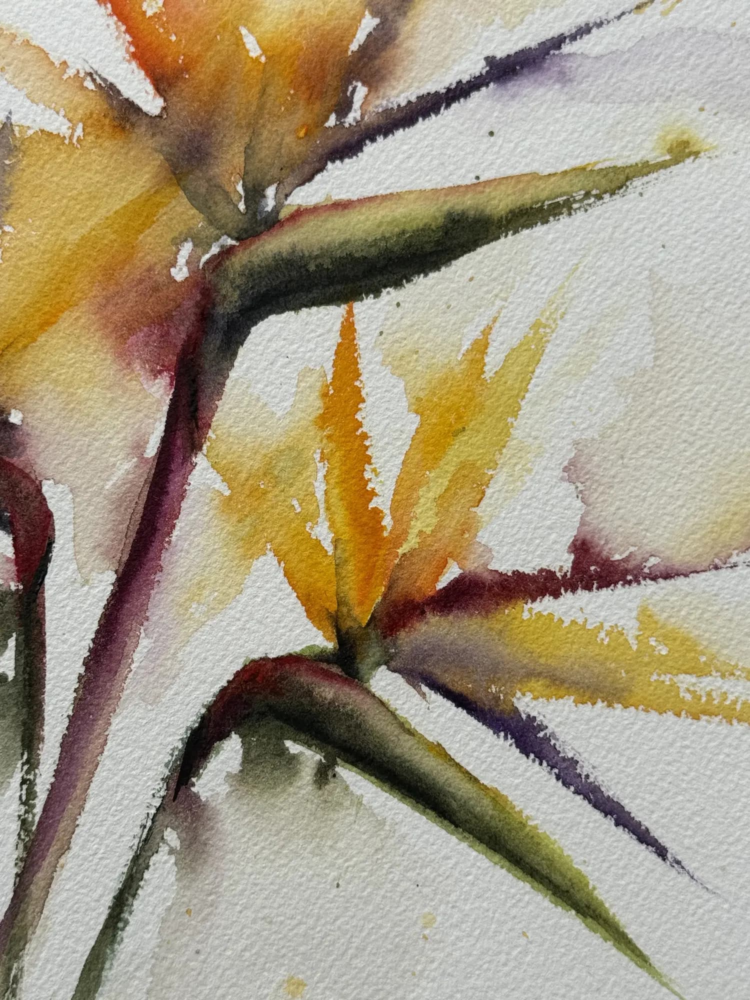 Detail 2 of Bird of Paradise