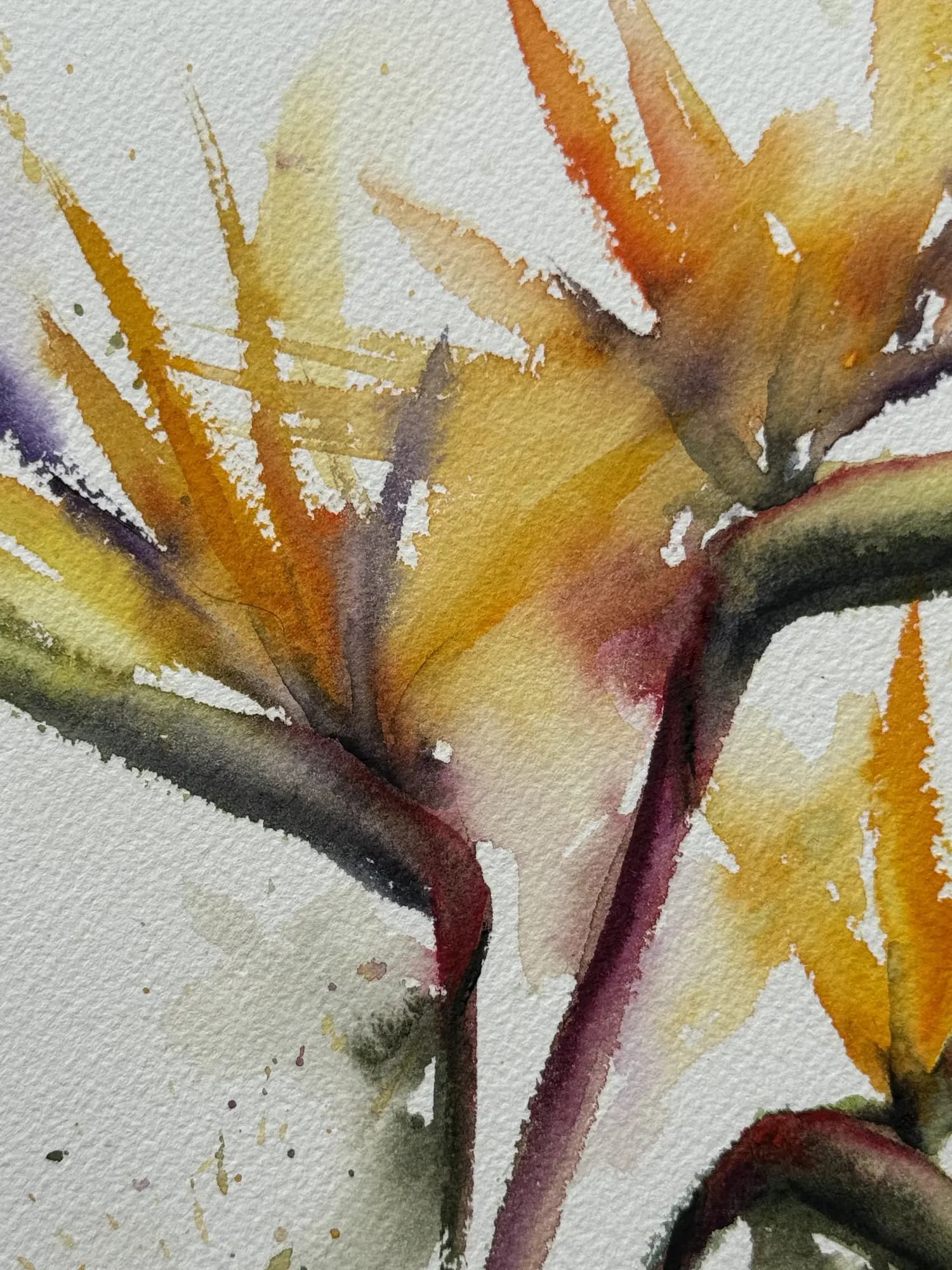 Detail 3 of Bird of Paradise