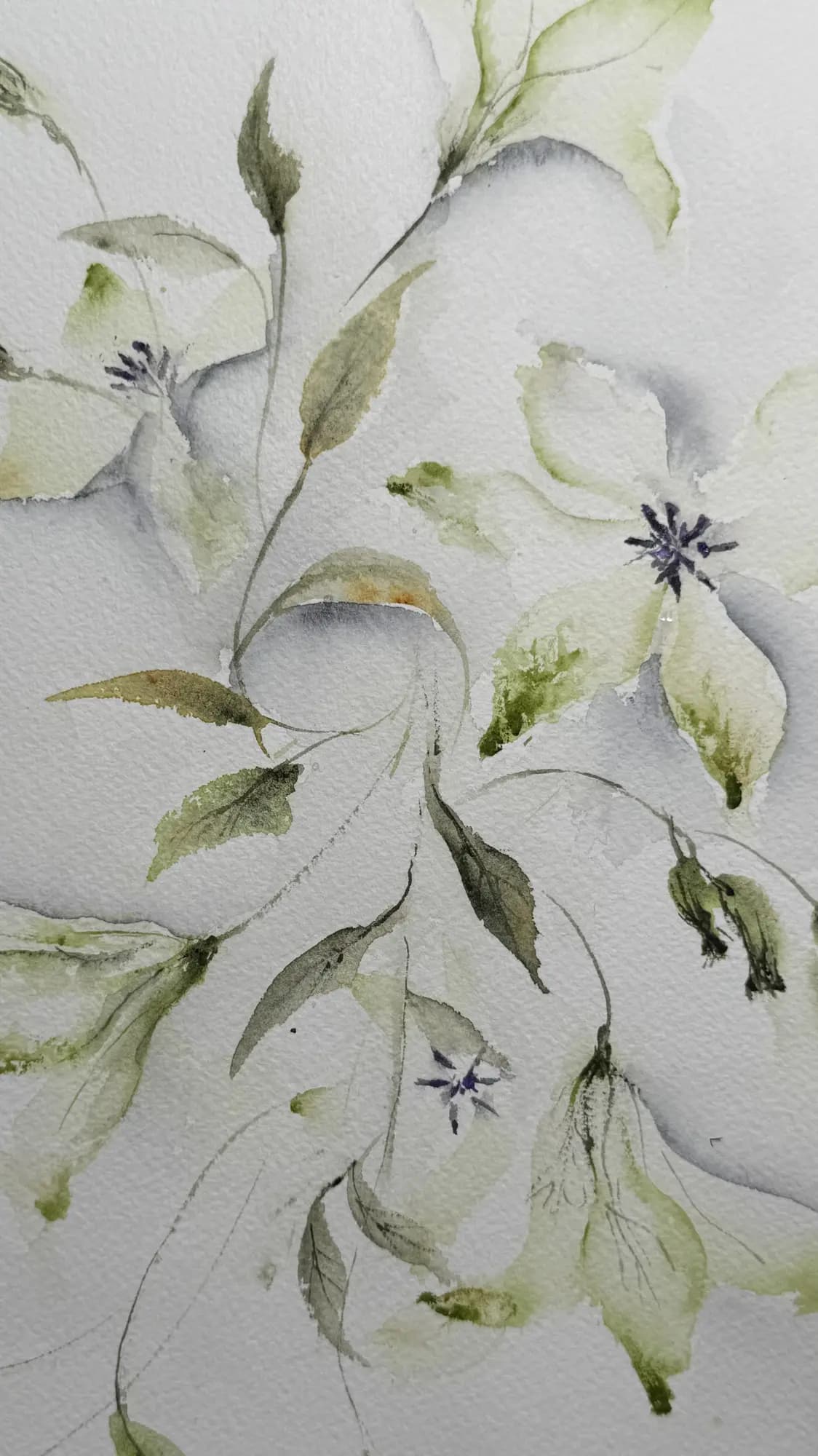 Detail 1 of Clematis
