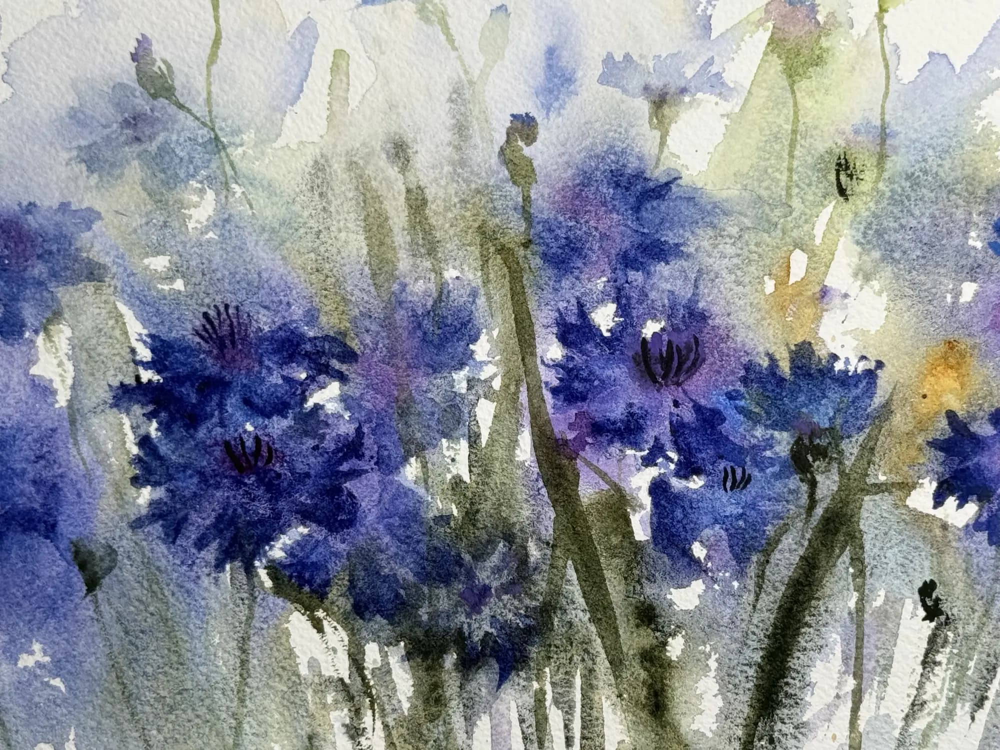 Detail 1 of Cornflower