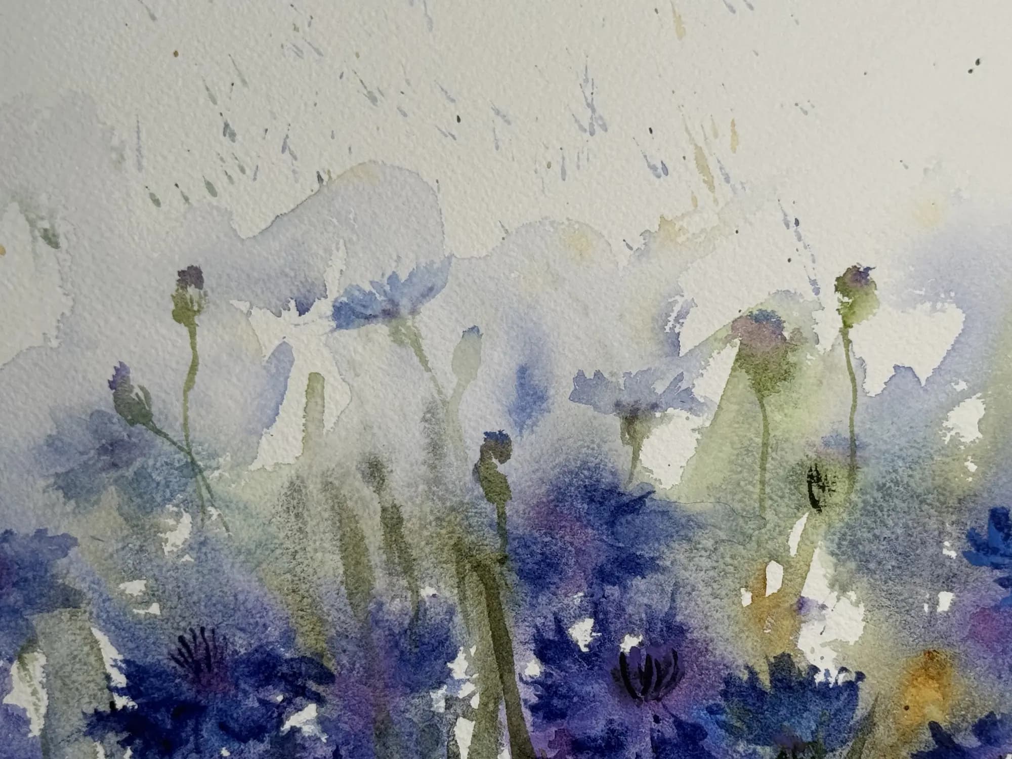 Detail 2 of Cornflower