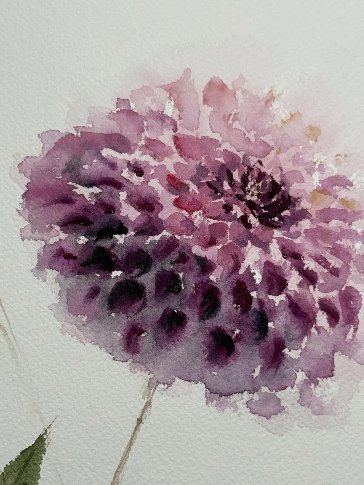 Detail 1 of Dahlia