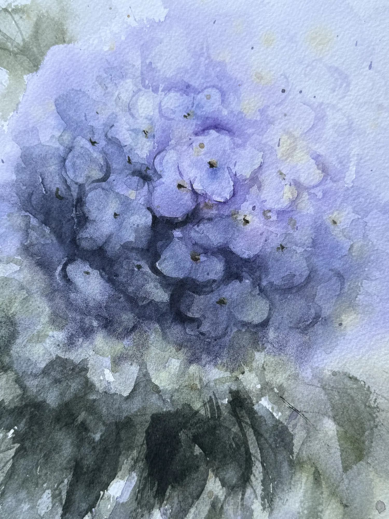 Detail 1 of Hydrangea