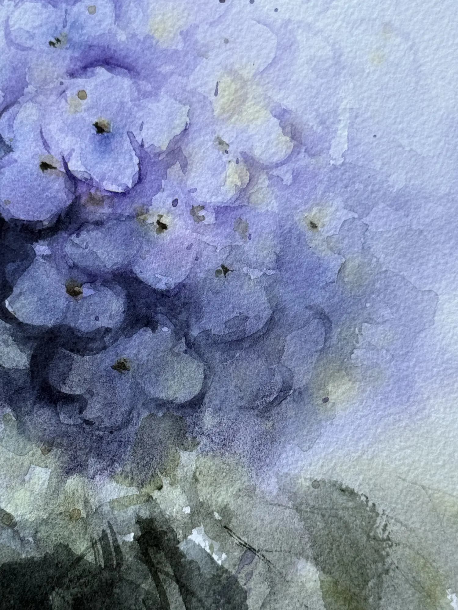 Detail 2 of Hydrangea