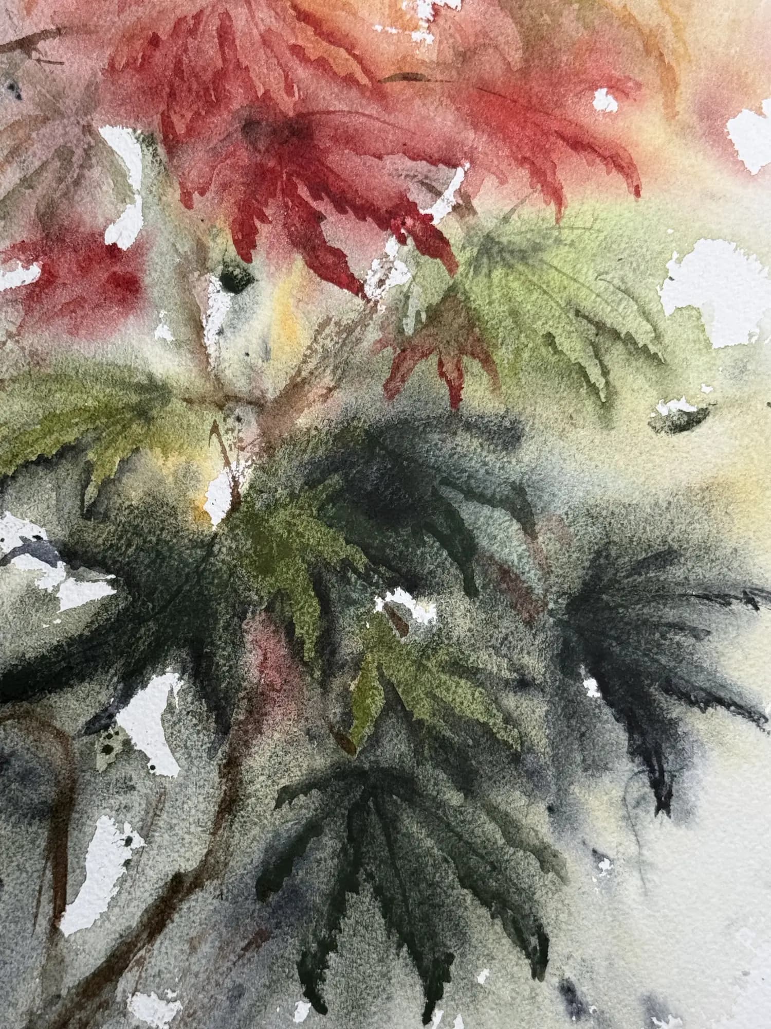 Detail 2 of Japanese Maple 1