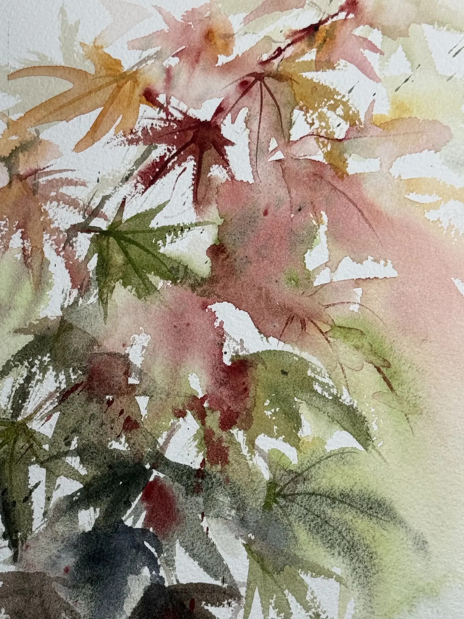 Detail 1 of Japanese Maple 2