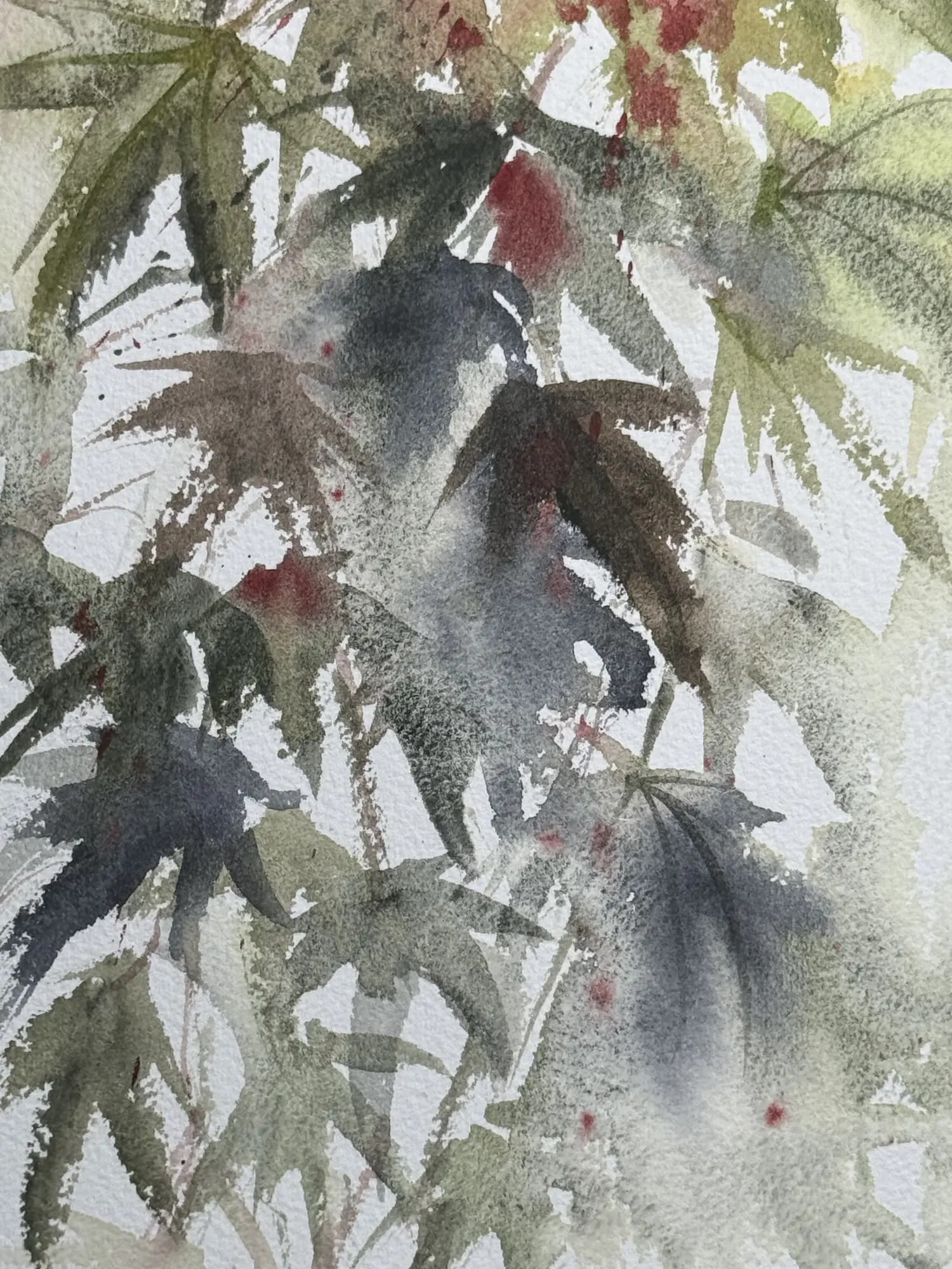 Detail 2 of Japanese Maple 2