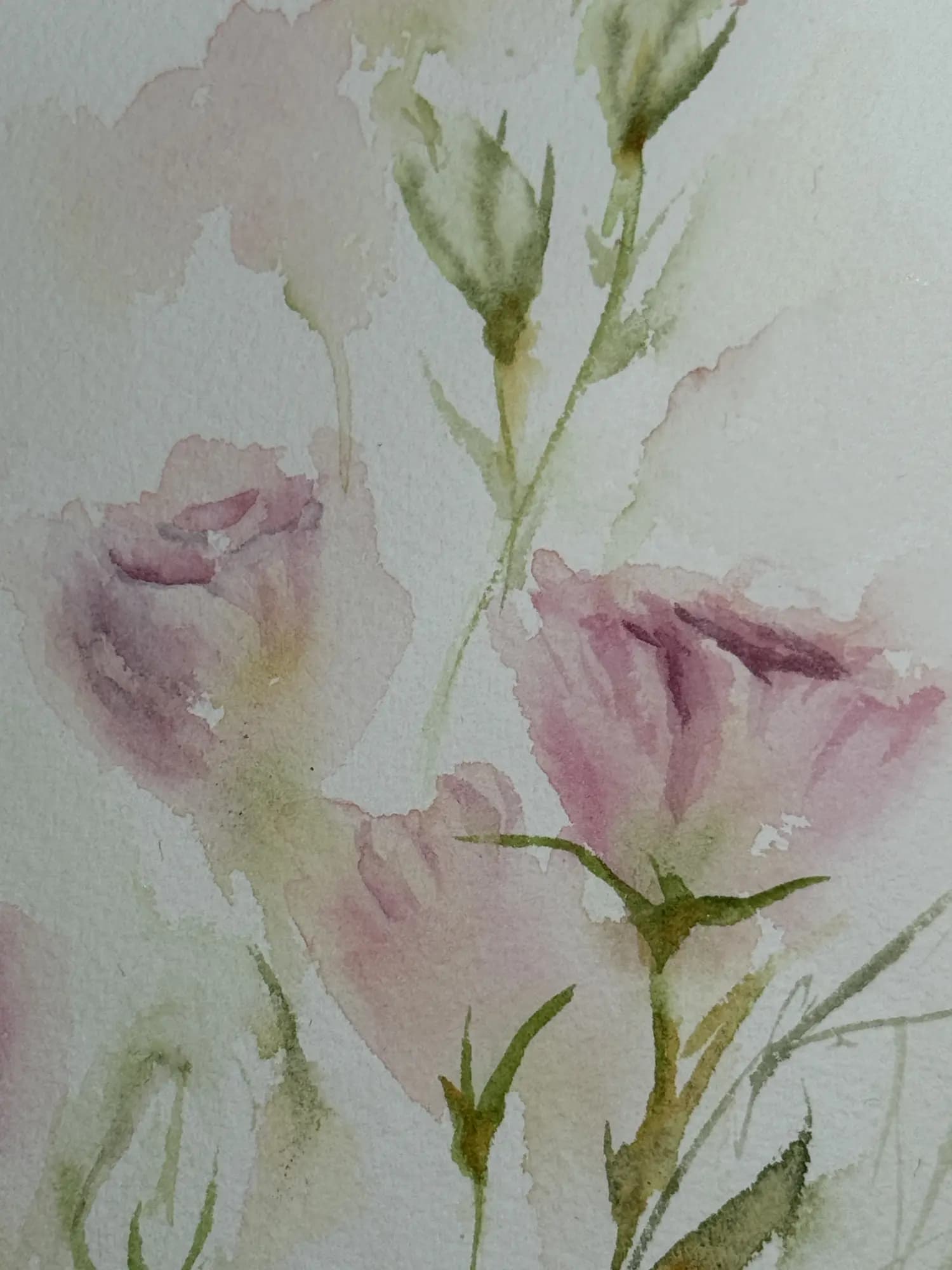 Detail 3 of Lisianthus