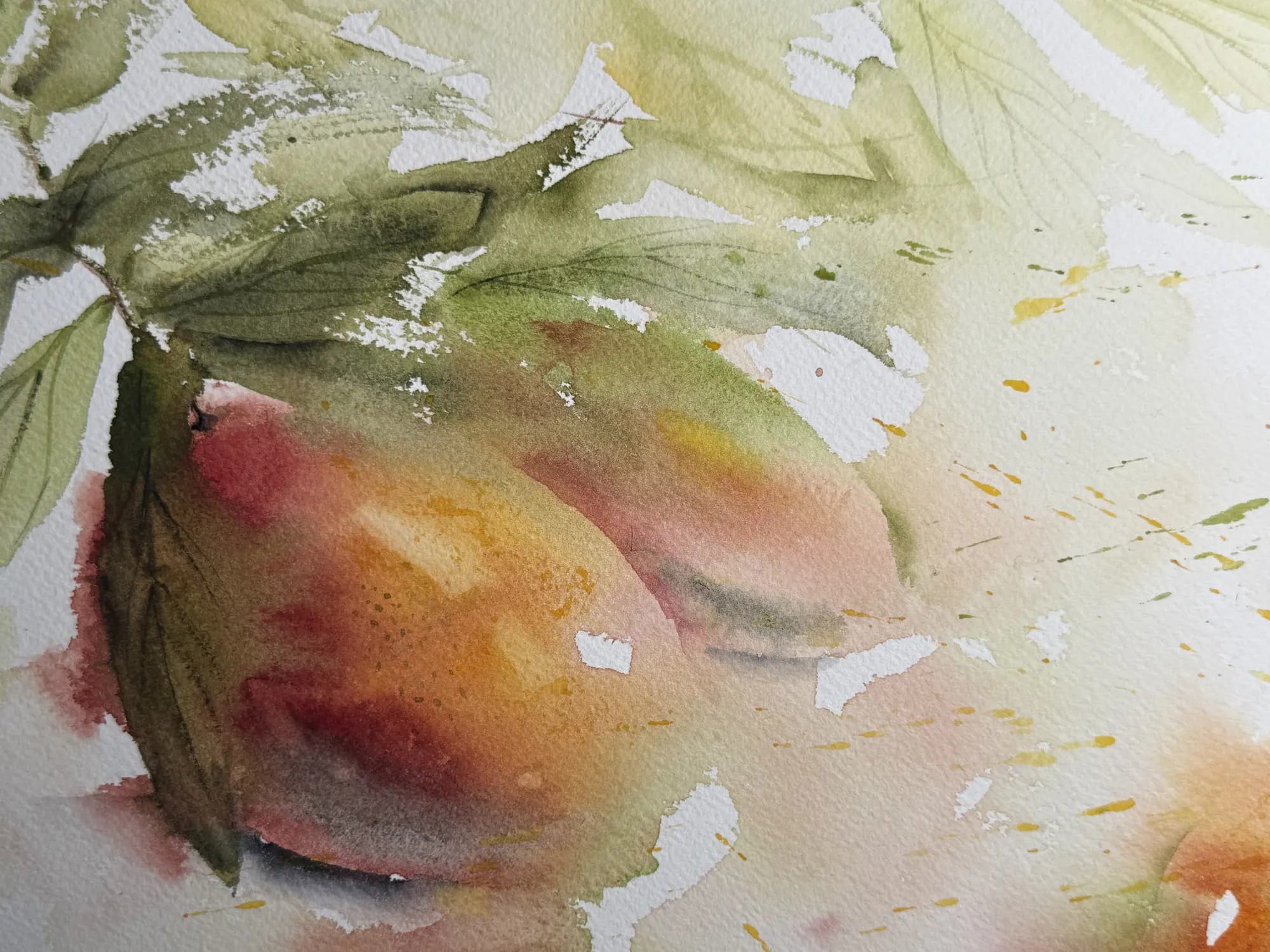 Detail 1 of Mango
