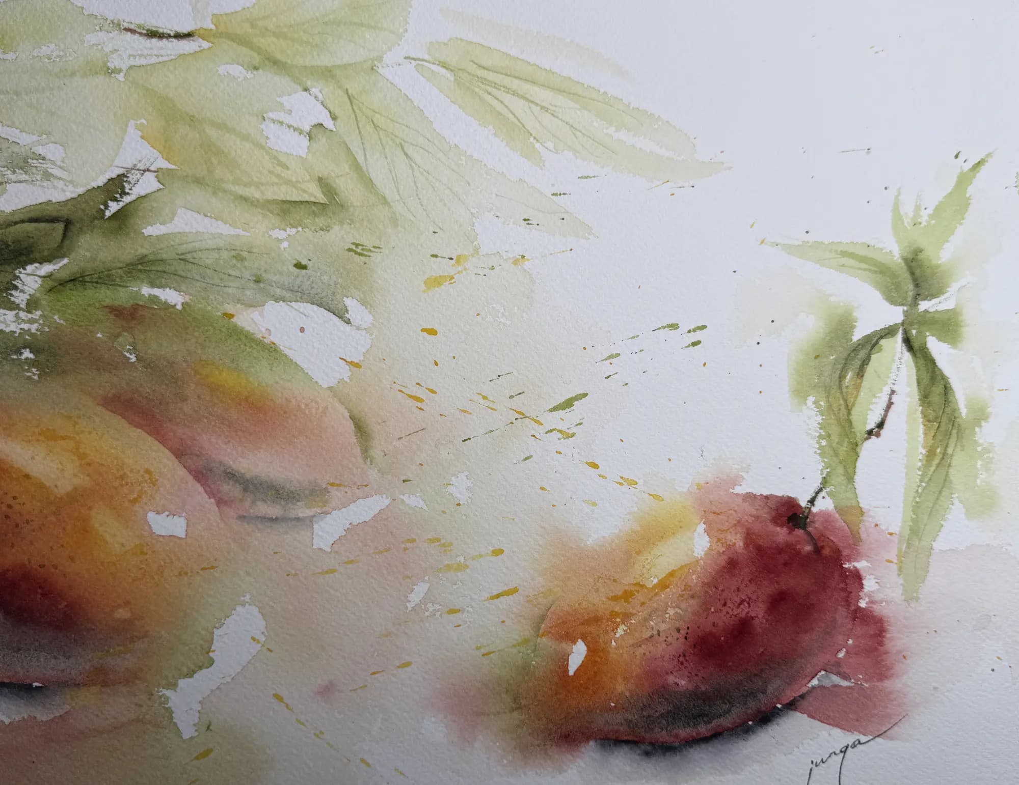 Detail 2 of Mango