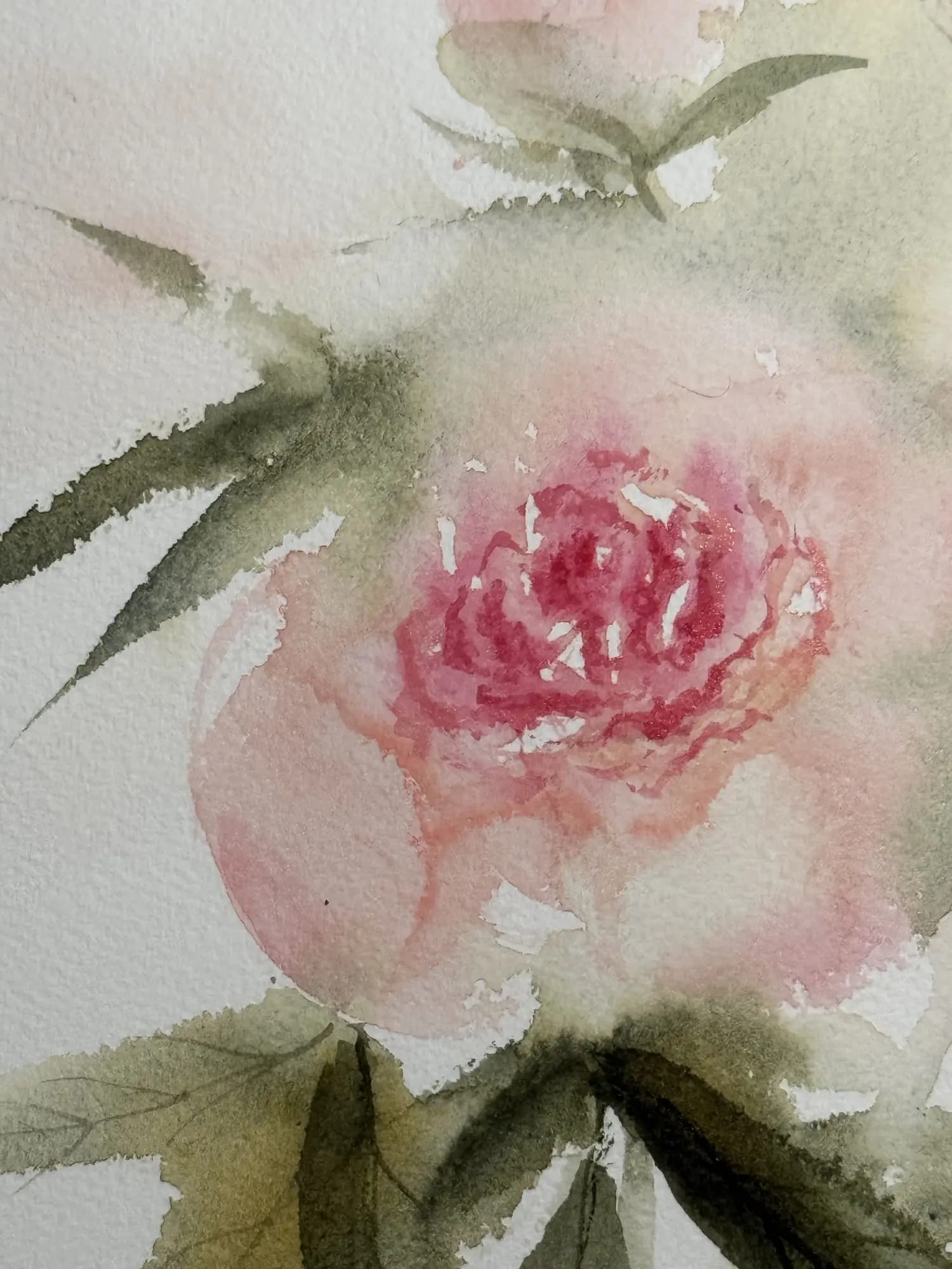 Detail 3 of Peonies