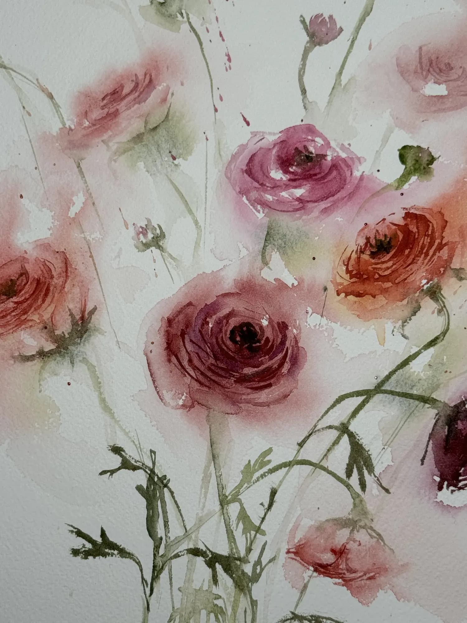 Detail 1 of Persian Buttercup