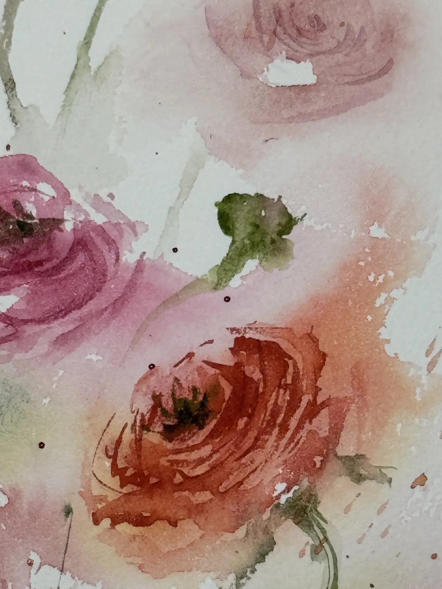 Detail 2 of Persian Buttercup