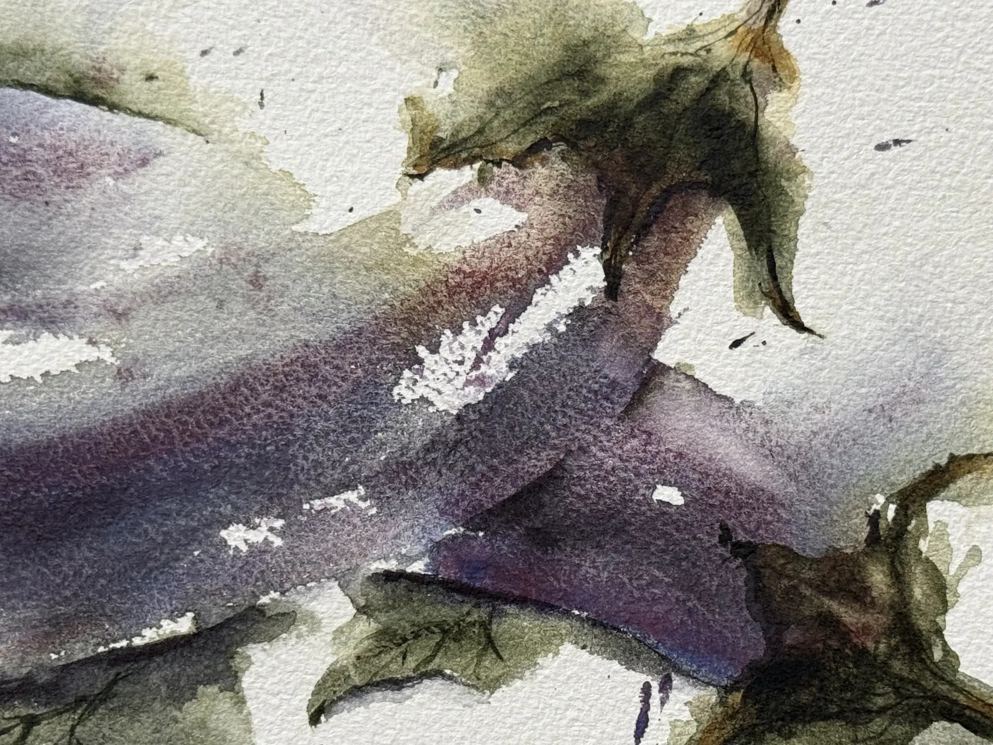 Detail 2 of Resting aubergines