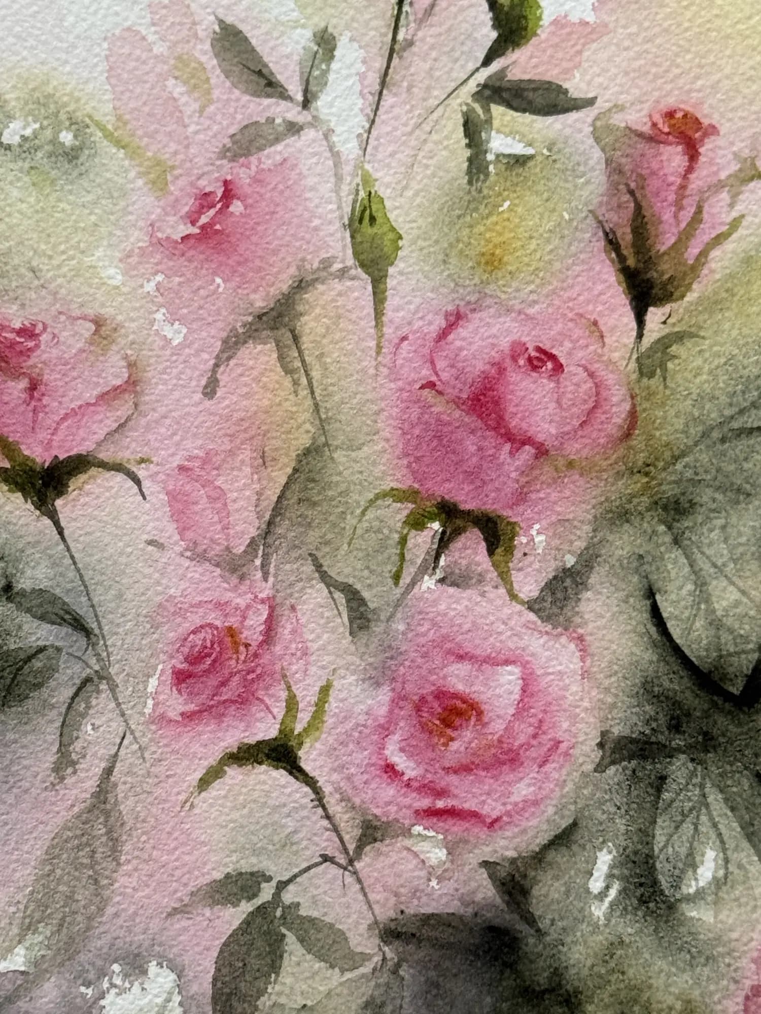 Detail 1 of Rose Bush