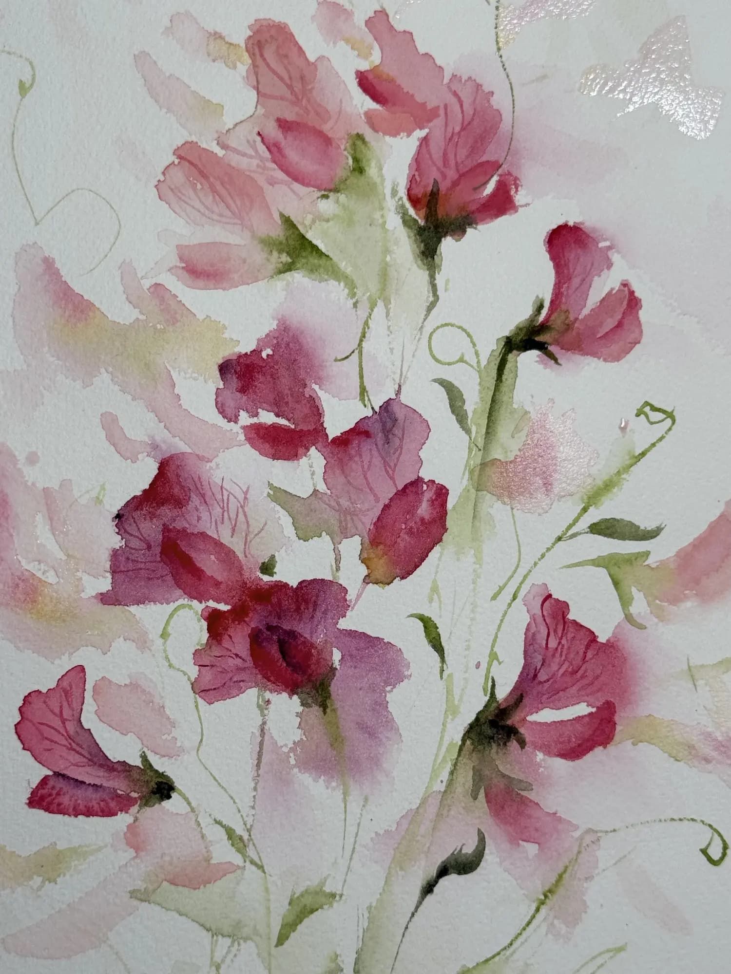 Detail 1 of Sweet Pea