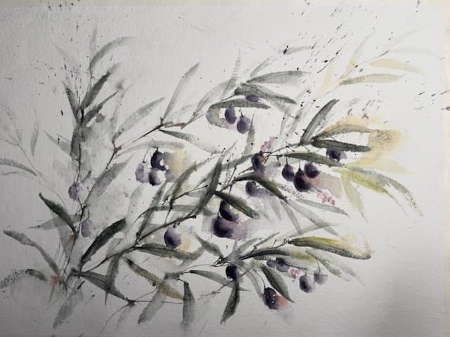 Olive Branch, an original watercolour work by Jurga Vilimaite