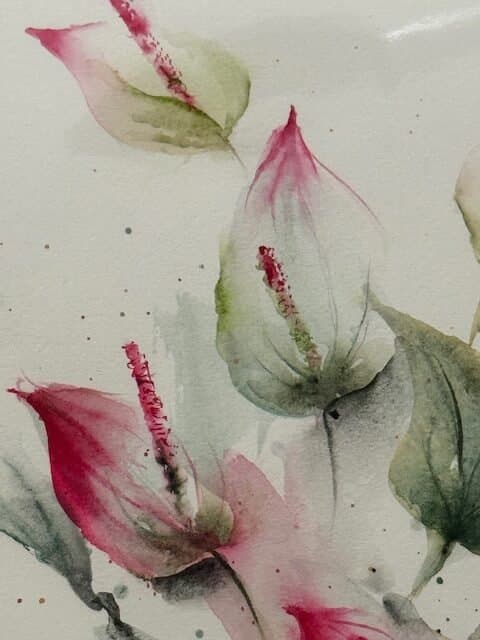 Pinks, an original watercolour work by Jurga Vilimaite