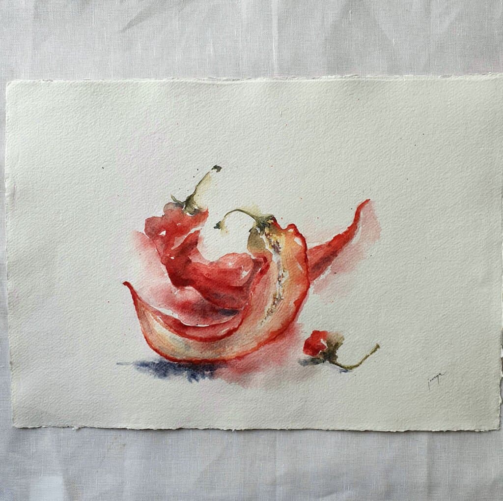 Red pepper still life, an original watercolour work by Jurga Vilimaite