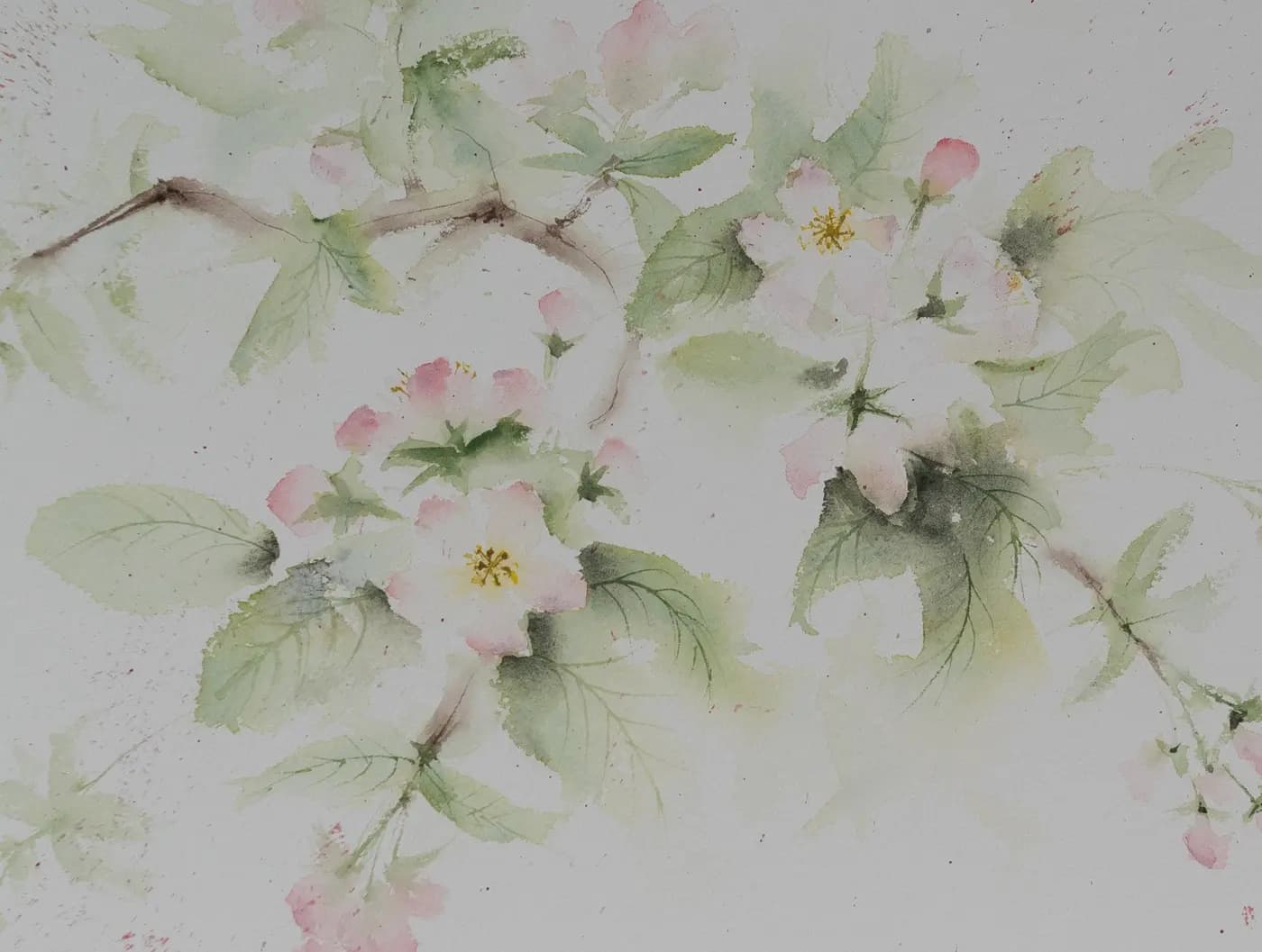 Detail 1 of Apple Blossoms