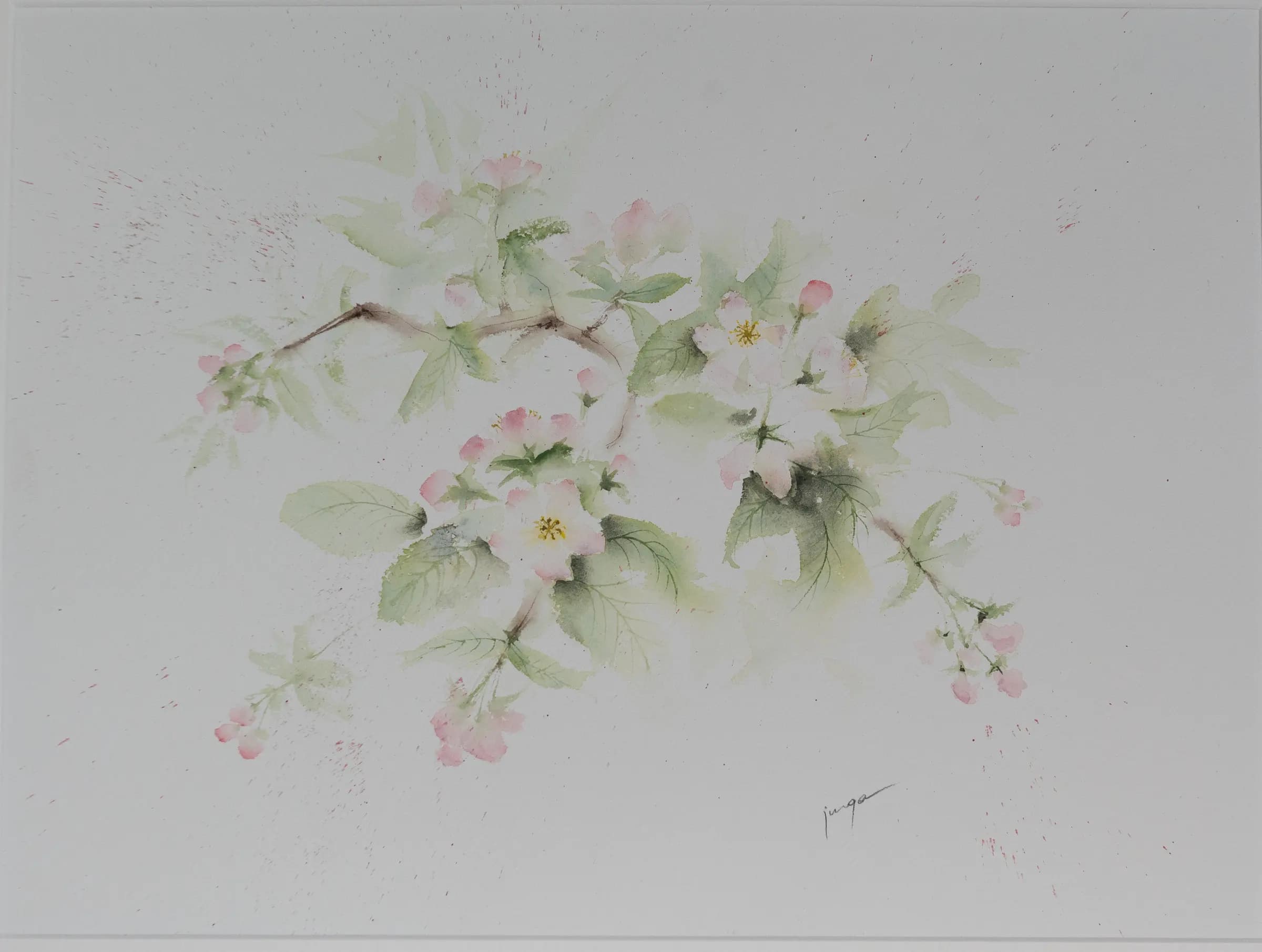 Apple Blossoms, an original watercolour painting by Jurga Vilimaite