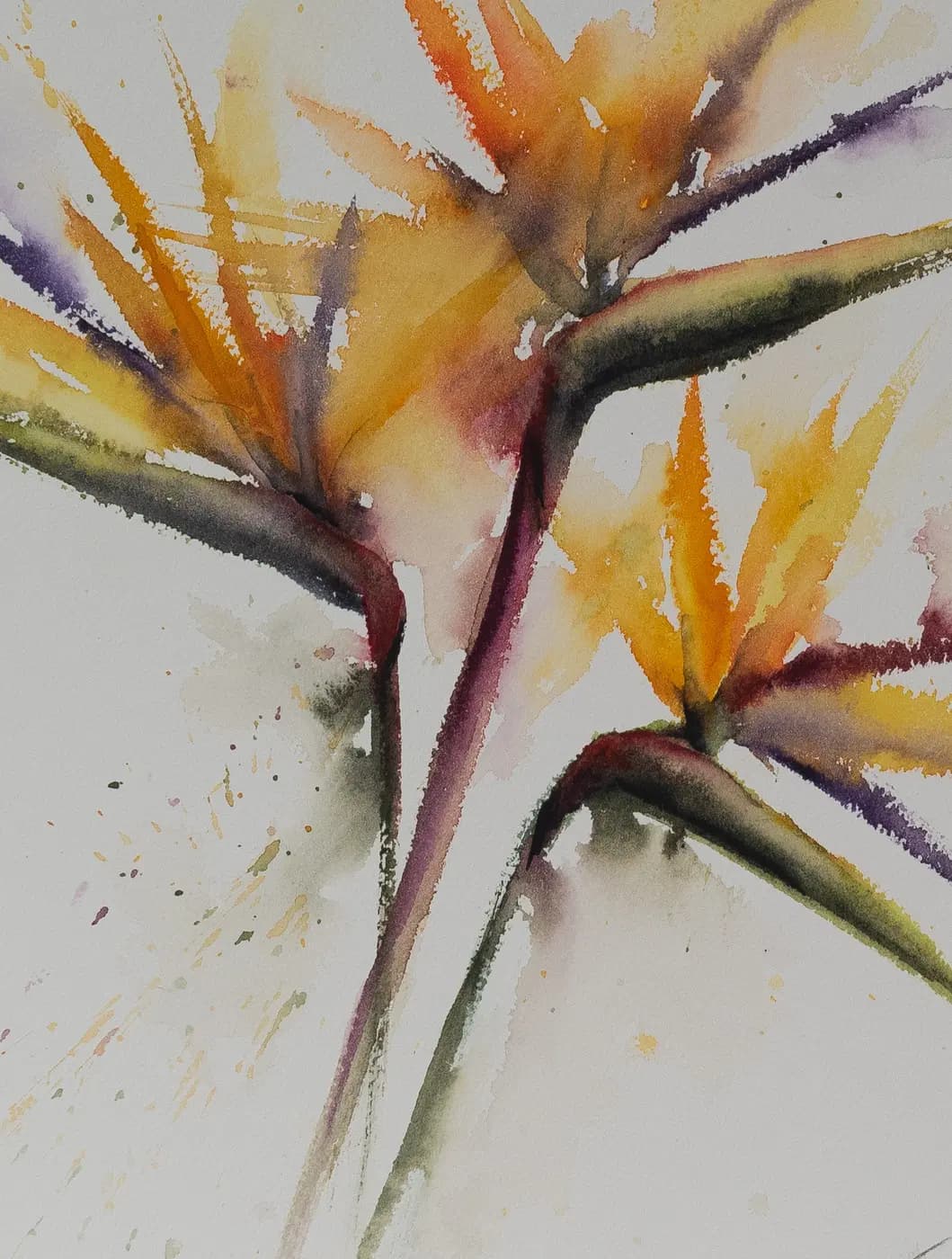 Detail 1 of Bird of Paradise