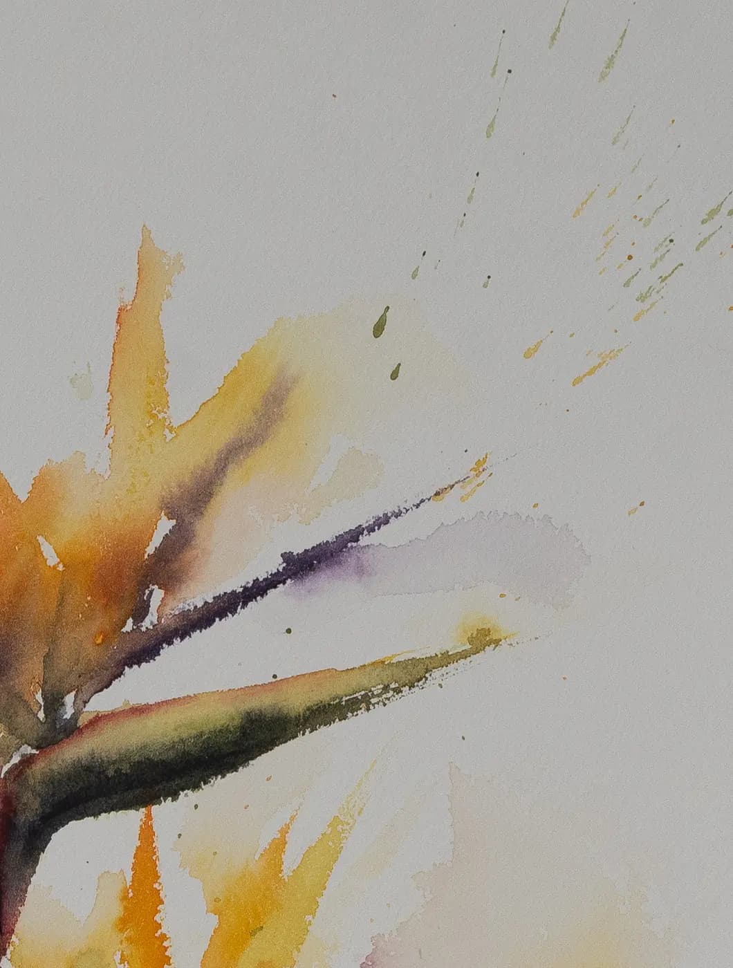 Detail 2 of Bird of Paradise