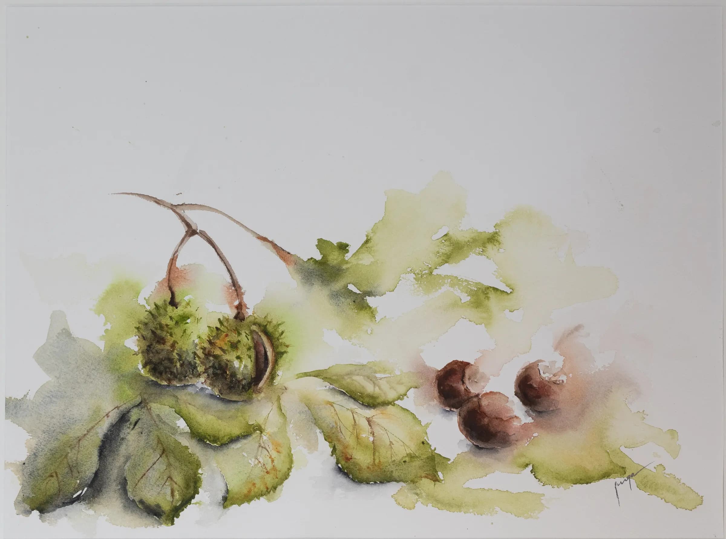 Chestnut, an original watercolour painting by Jurga Vilimaite