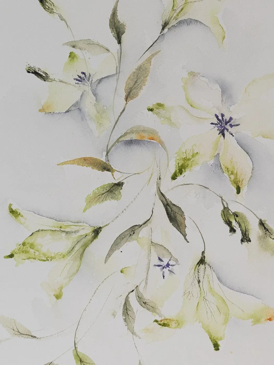 Detail 1 of Clematis
