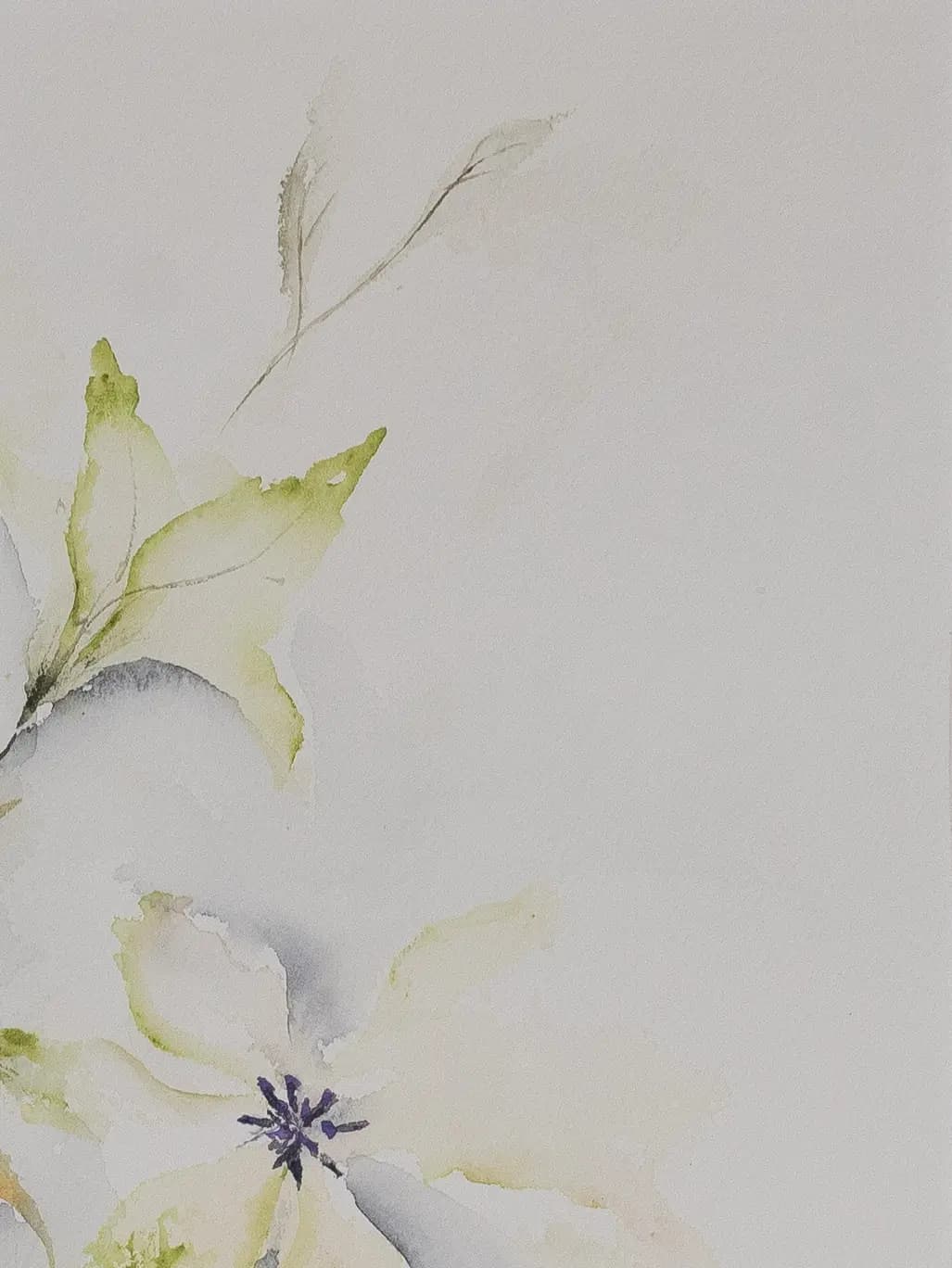 Detail 2 of Clematis