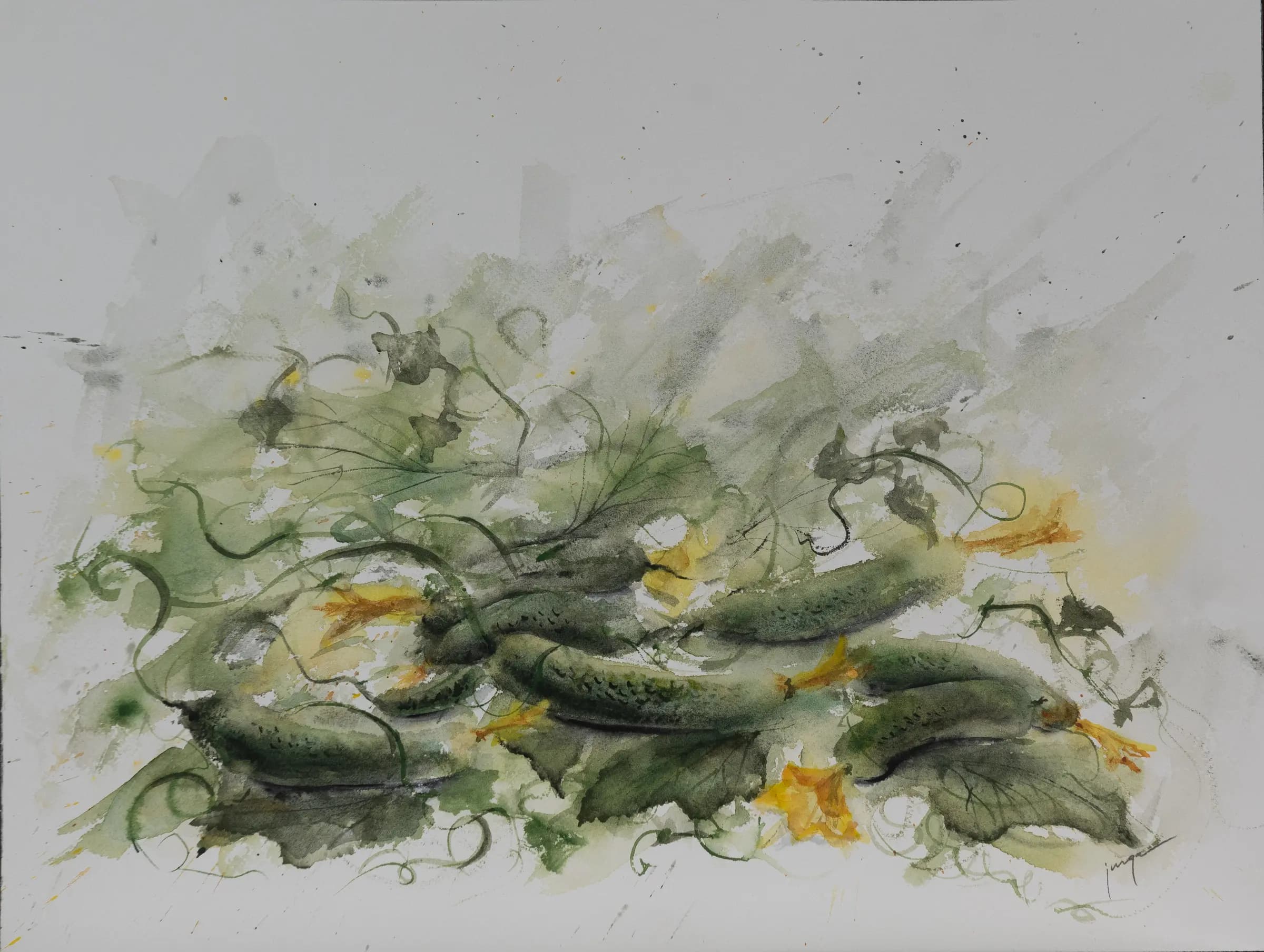 Cucumbers, an original watercolour painting by Jurga Vilimaite