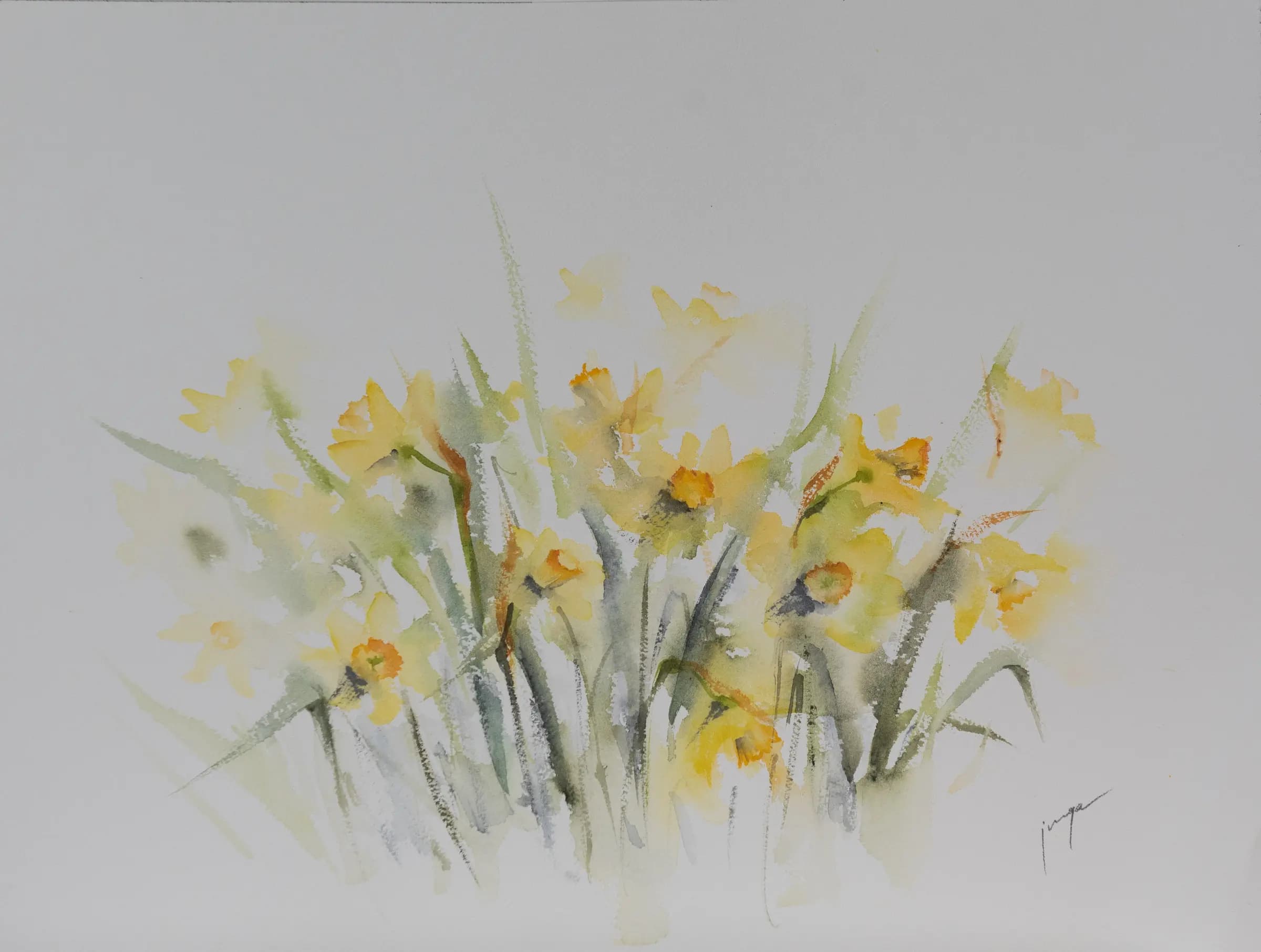Daffodils 2, an original watercolour painting by Jurga Vilimaite
