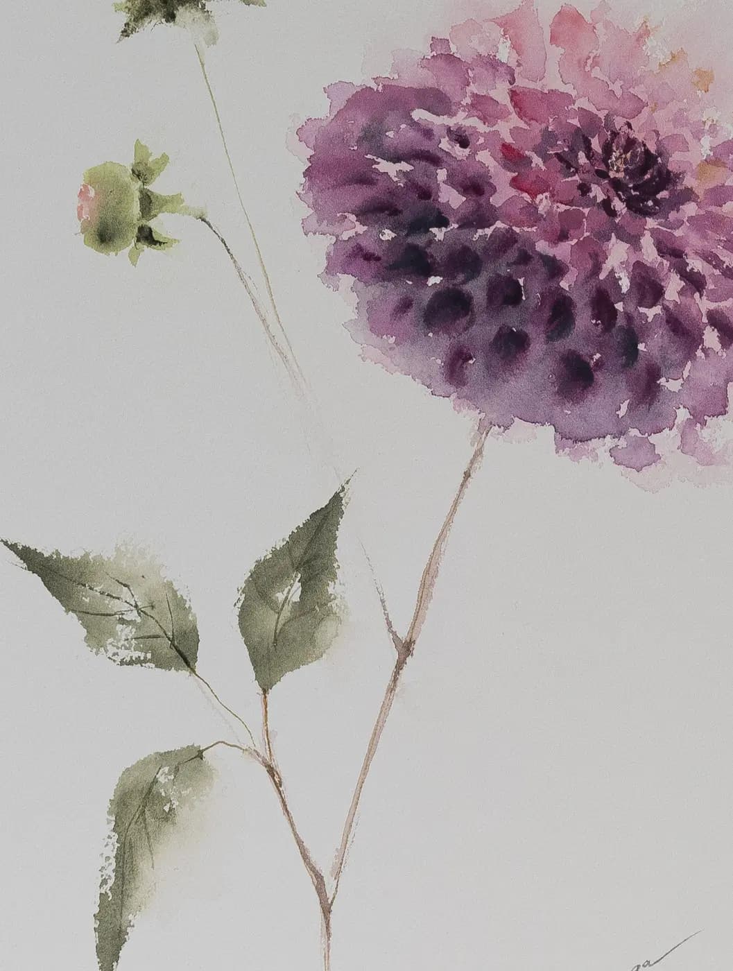 Detail 1 of Dahlia