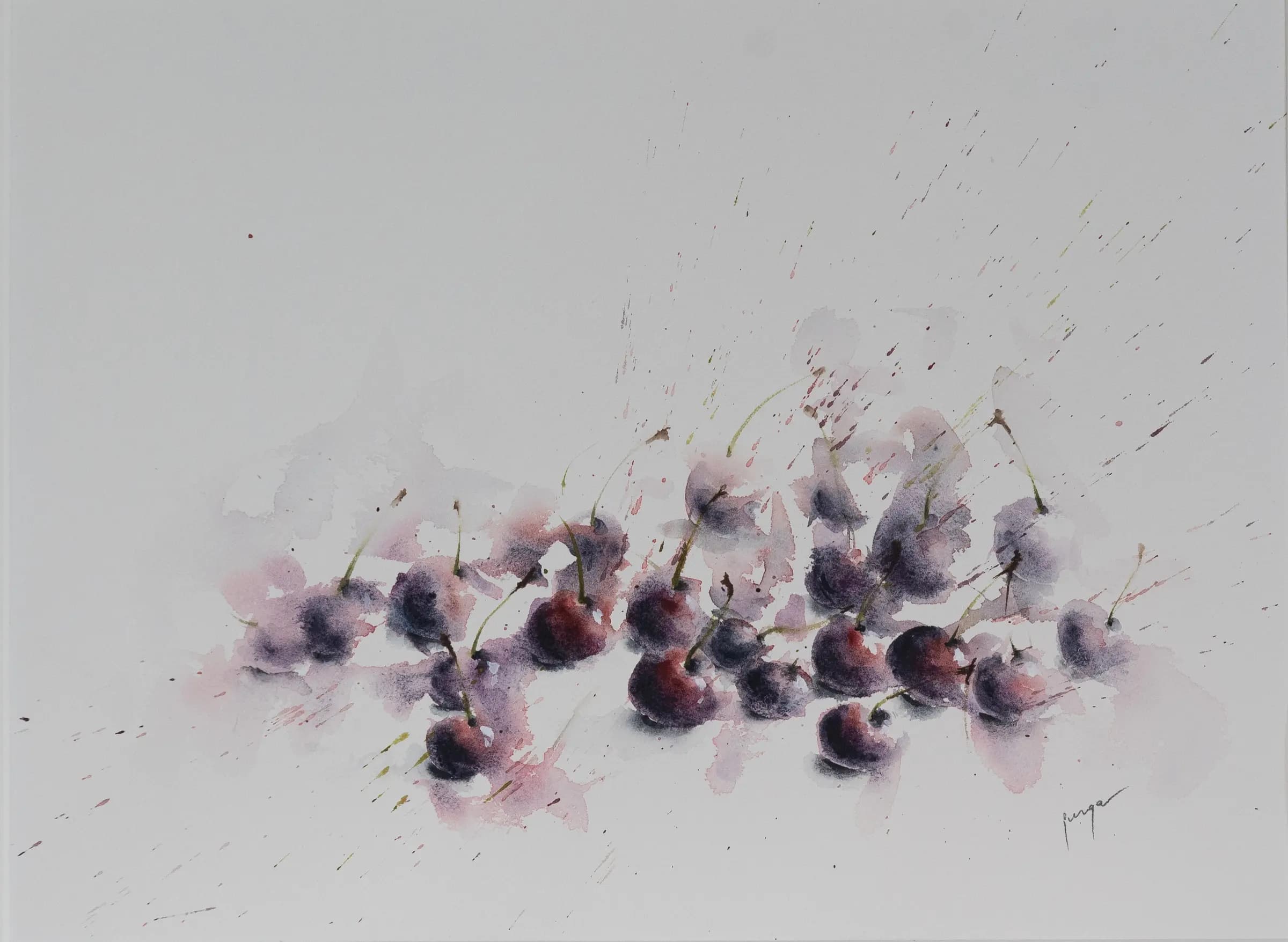 Foggy Cherries, an original watercolour painting by Jurga Vilimaite