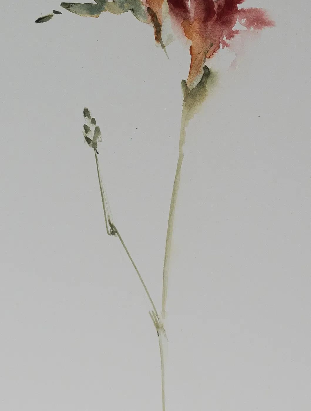 Detail 1 of Fresia 2