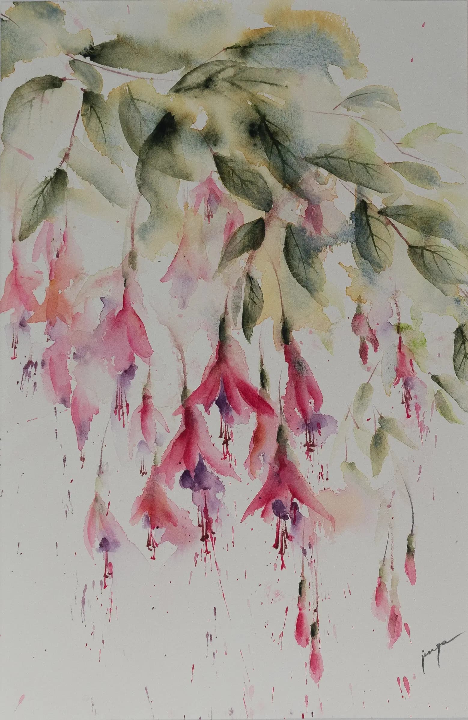 Fuscia, an original watercolour painting by Jurga Vilimaite