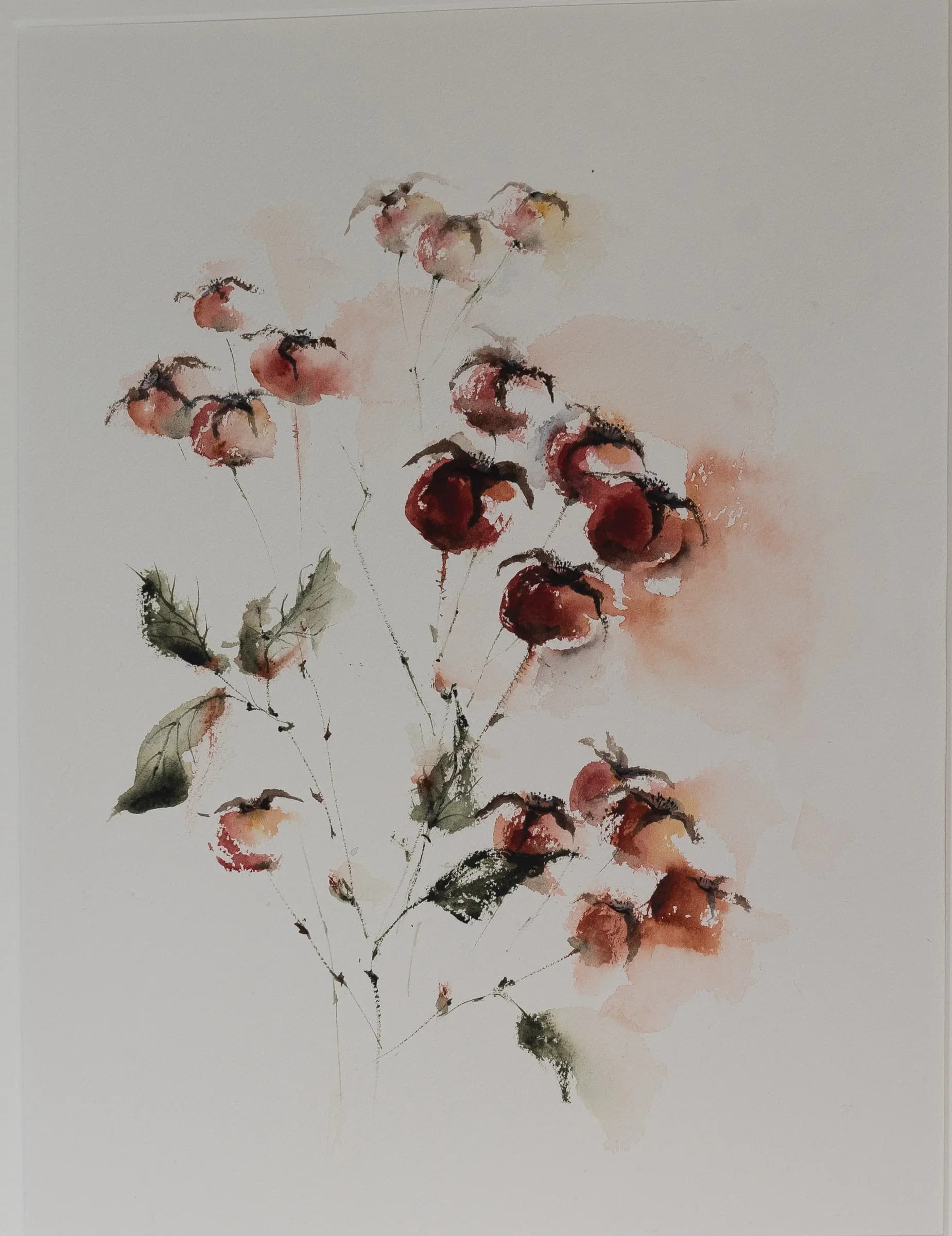 Hibiscus, an original watercolour painting by Jurga Vilimaite