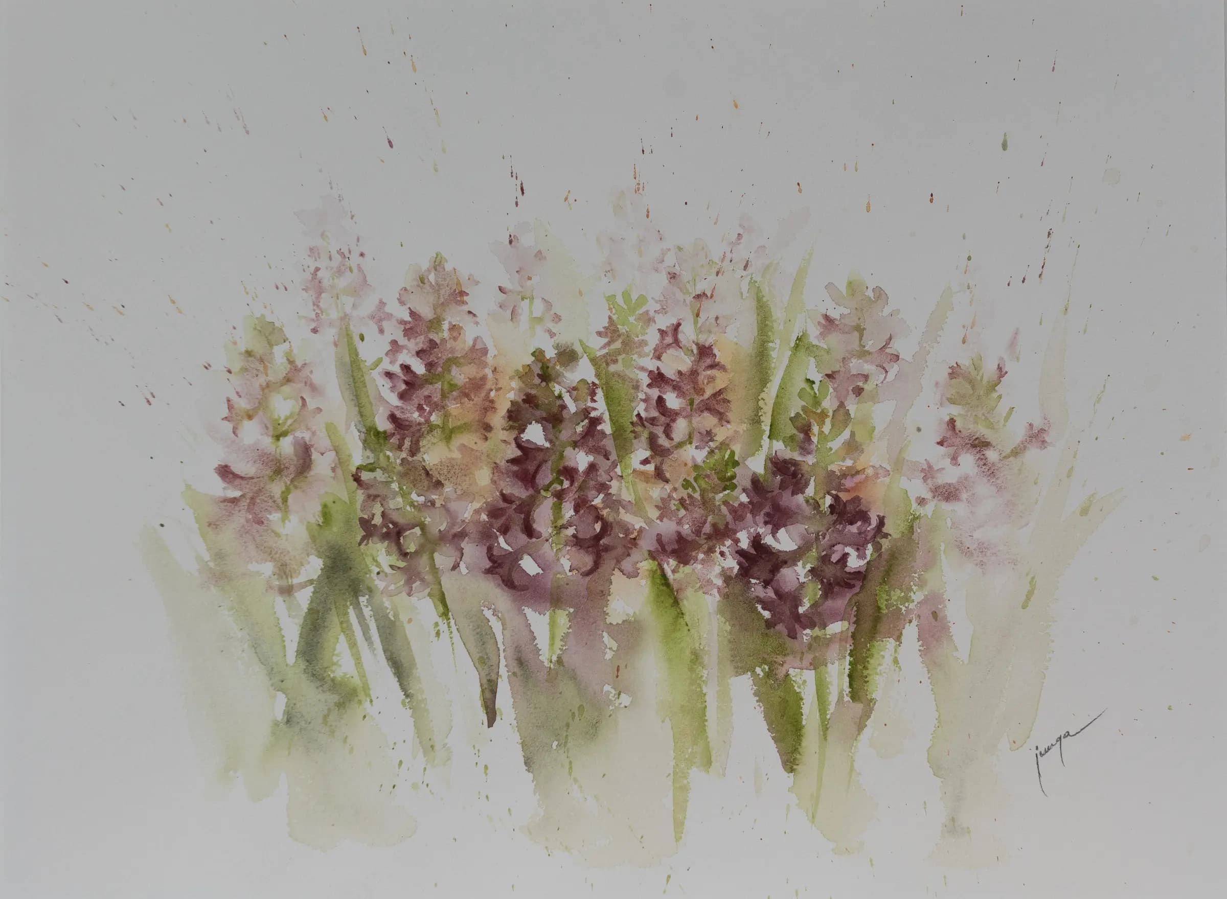 Hyacinth, an original watercolour painting by Jurga Vilimaite
