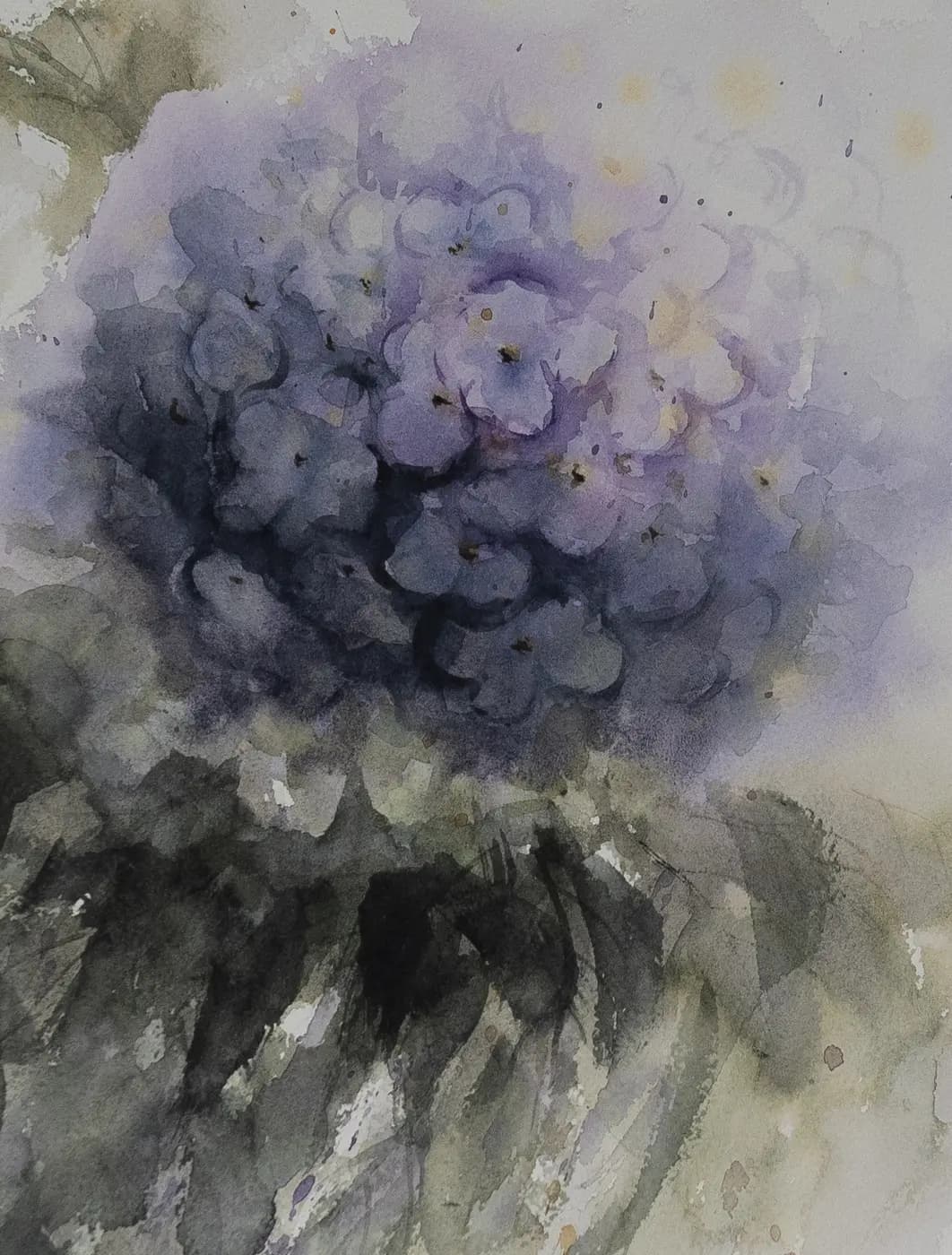 Detail 1 of Hydrangea