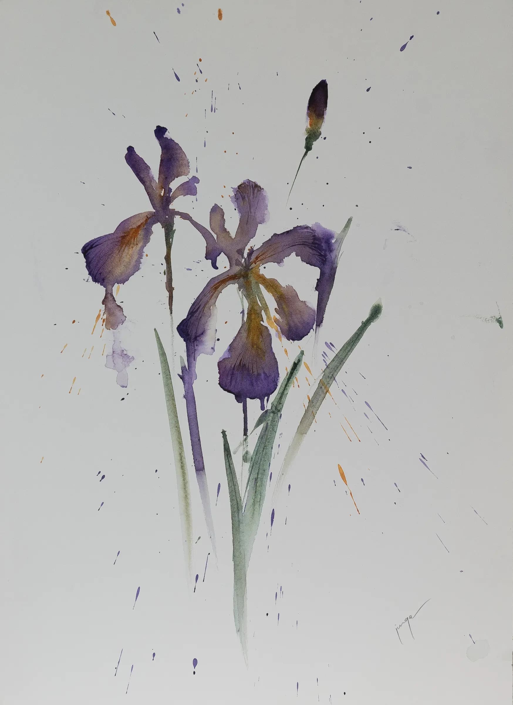 Irises Two, an original watercolour painting by Jurga Vilimaite