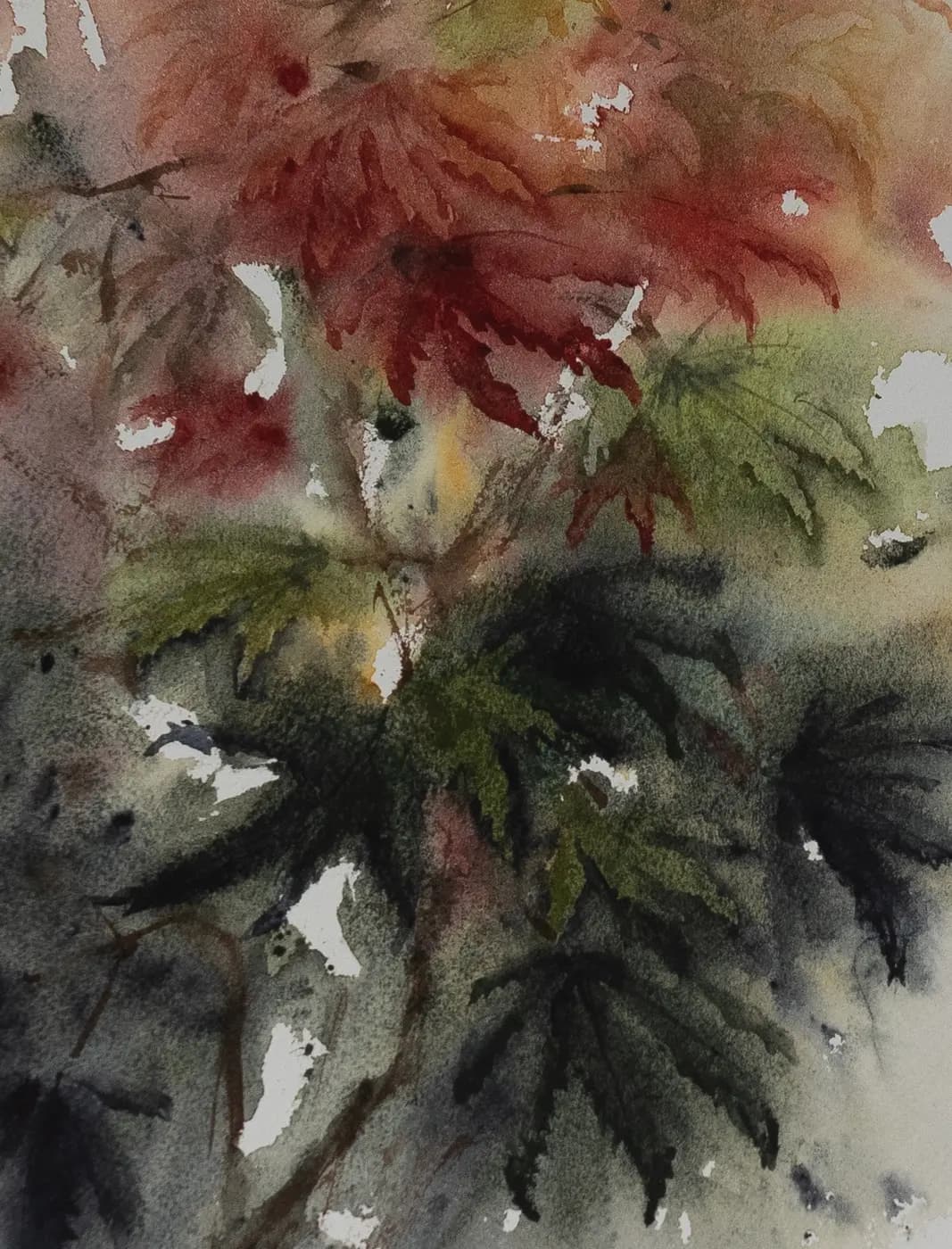 Detail 1 of Japanese Maple 1