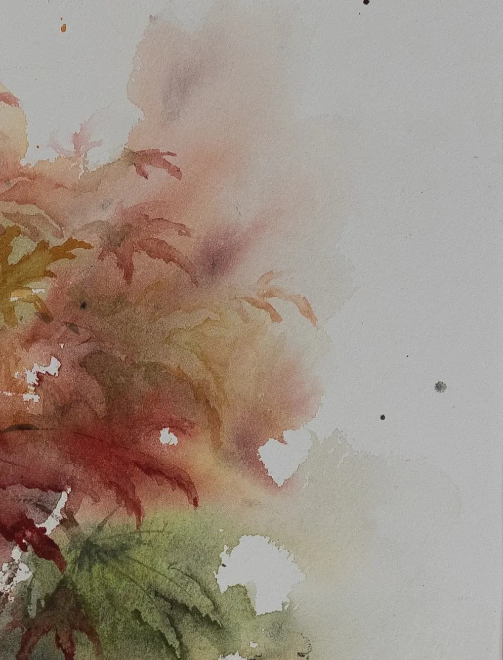 Detail 2 of Japanese Maple 1