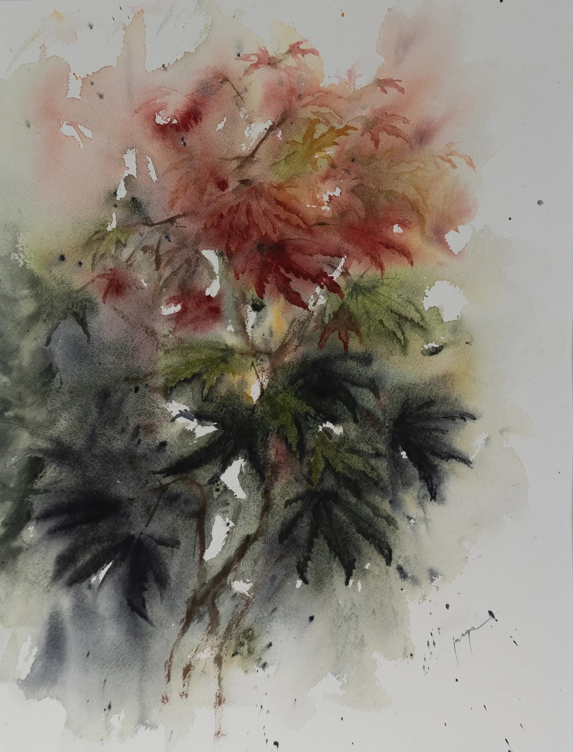 Japanese Maple 1, an original watercolour painting by Jurga Vilimaite