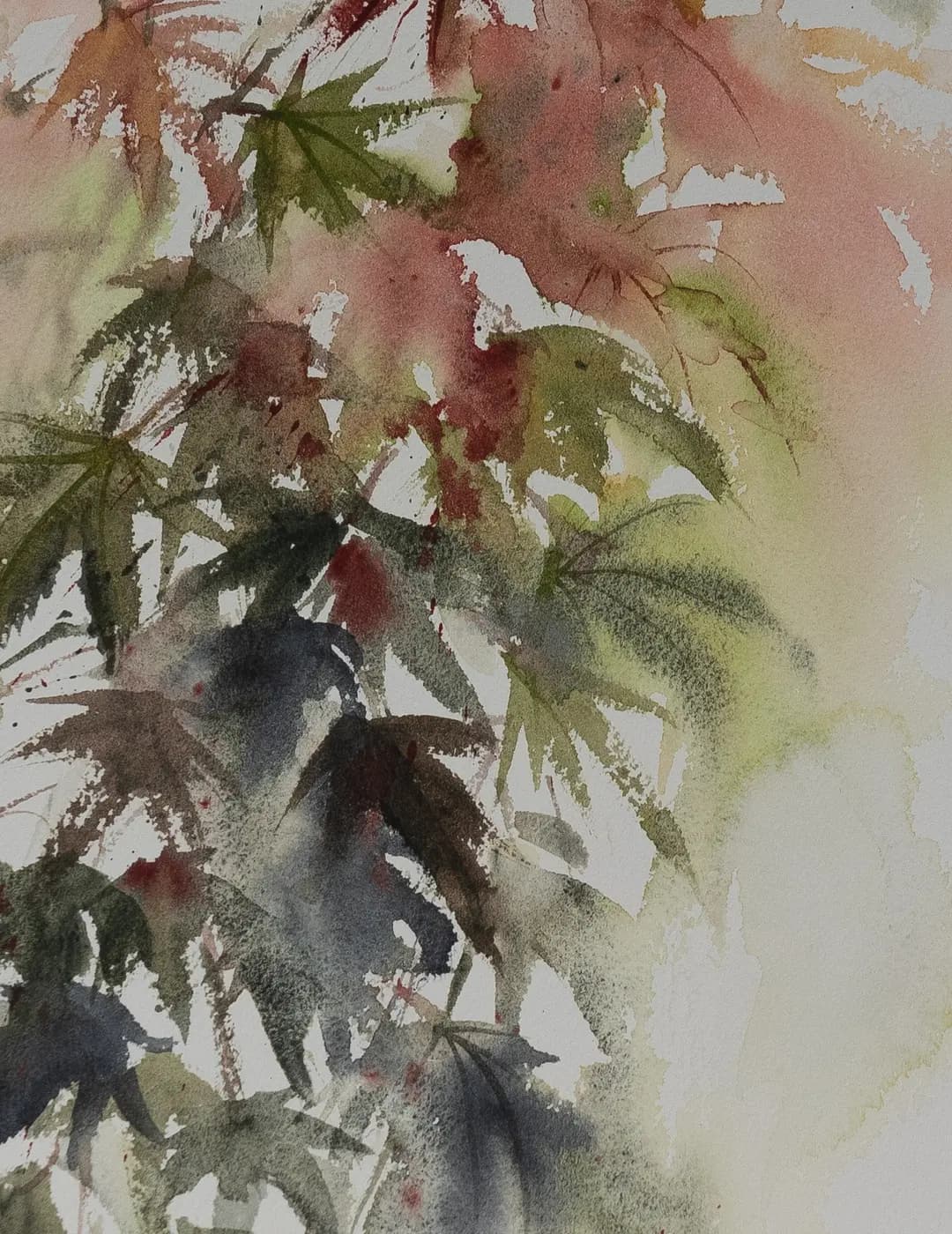 Detail 1 of Japanese Maple 2