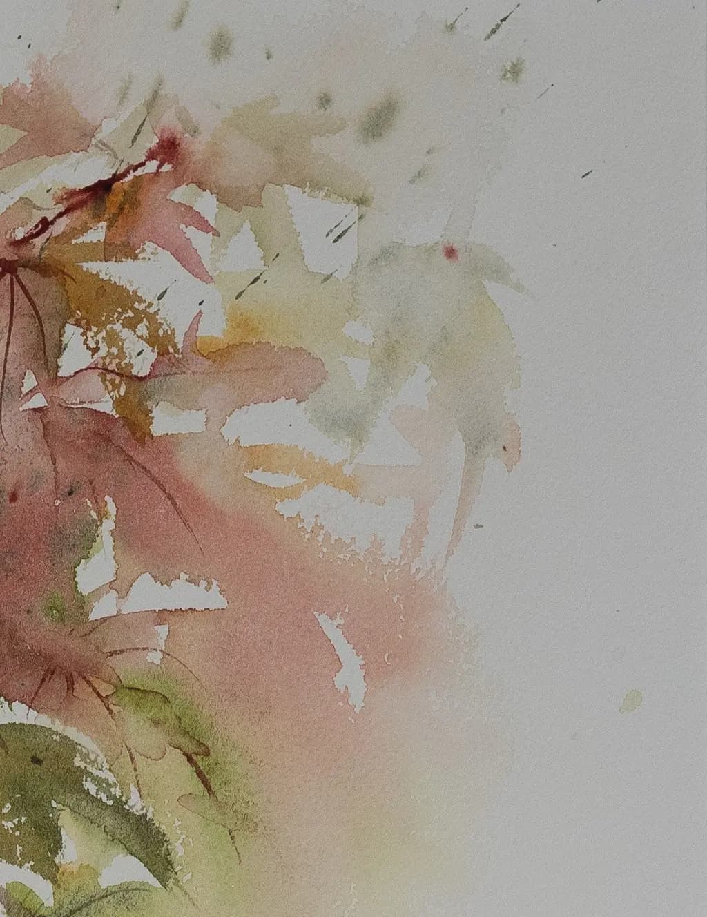 Detail 2 of Japanese Maple 2