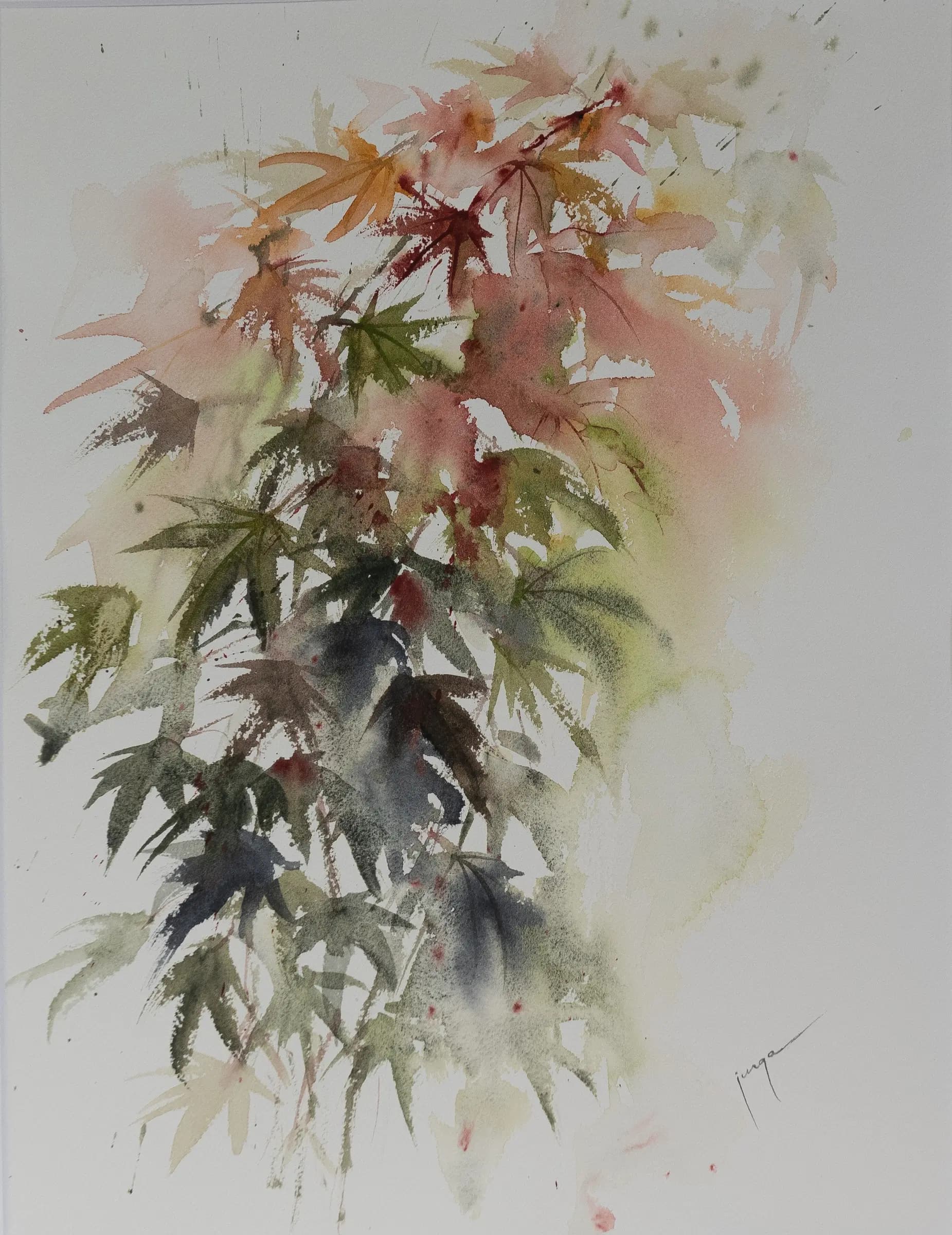 Japanese Maple 2, an original watercolour painting by Jurga Vilimaite