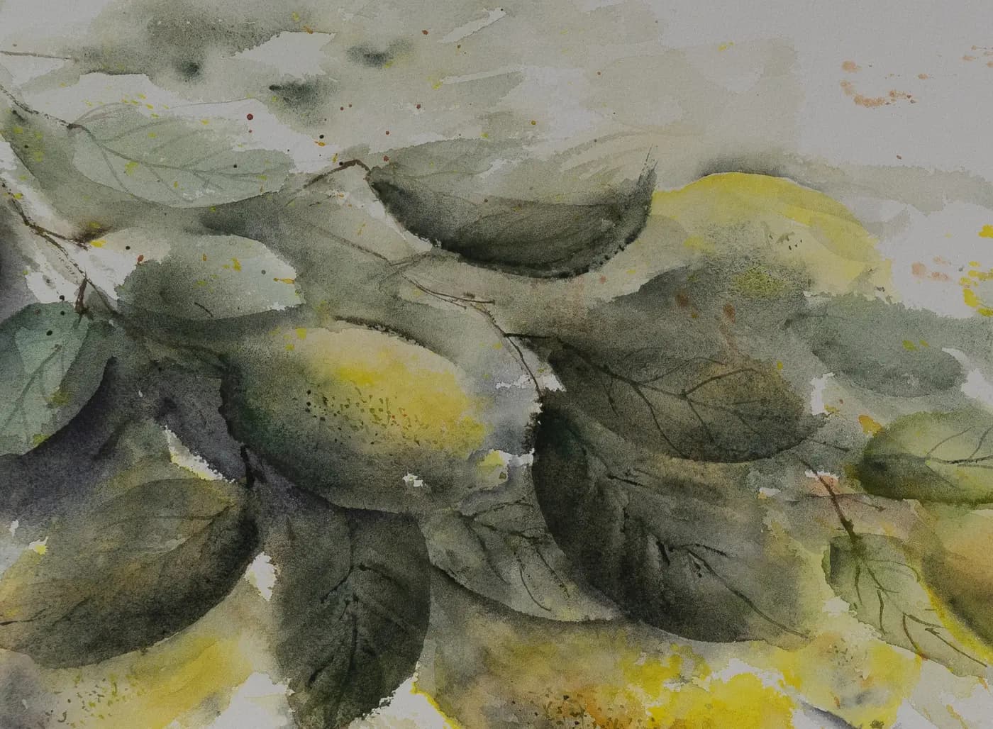 Detail 1 of Lemons