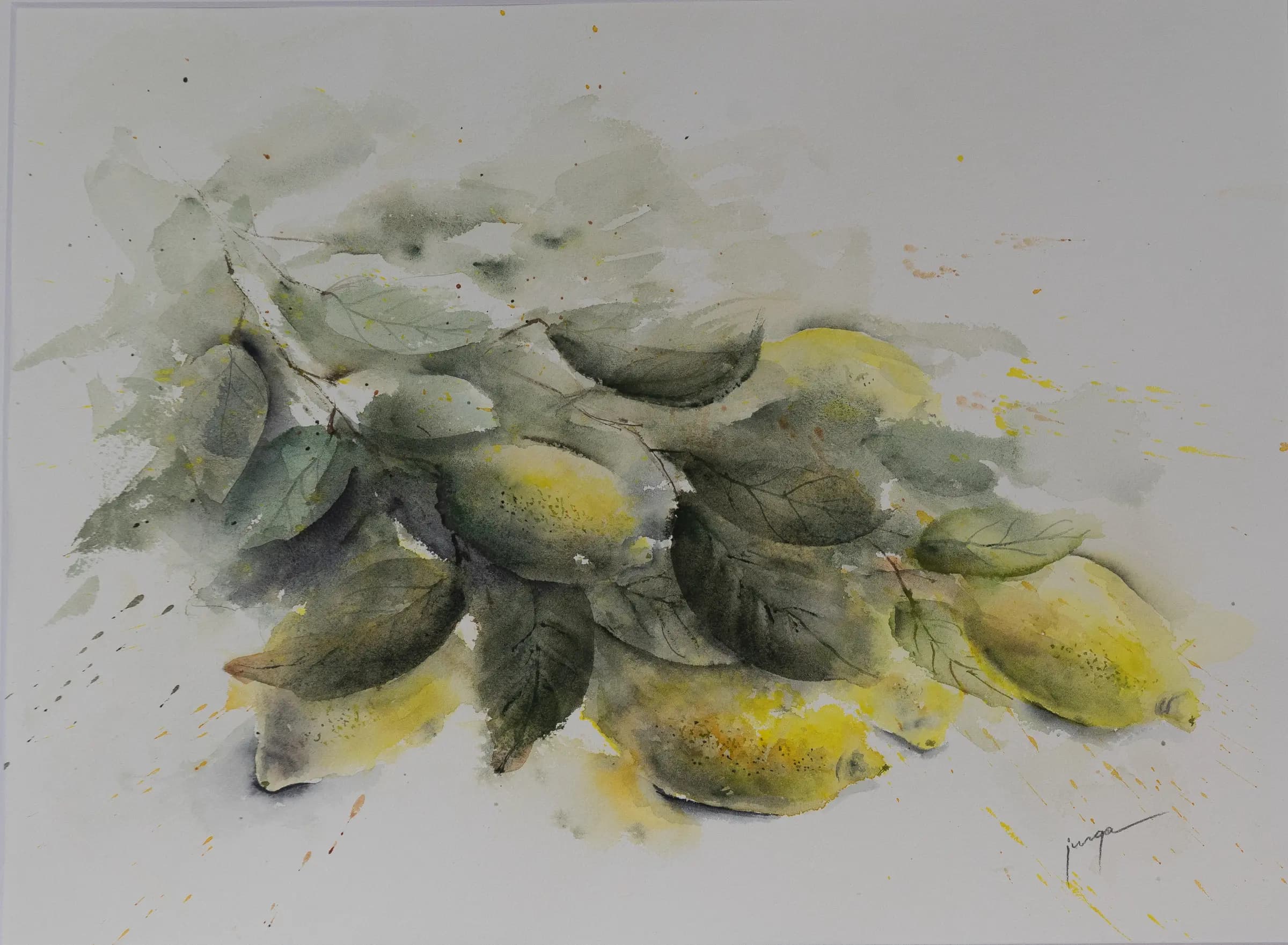 Lemons, an original watercolour painting by Jurga Vilimaite