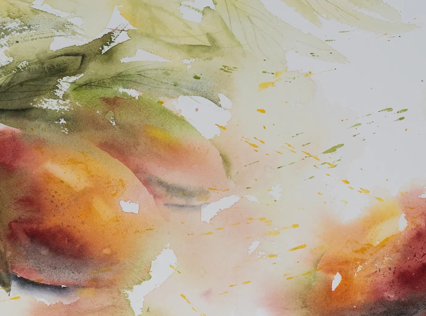 Detail 1 of Mangoes
